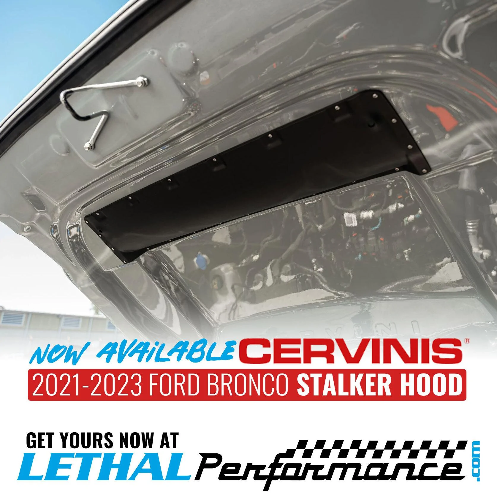 cervinisbronco_3 (1).webp