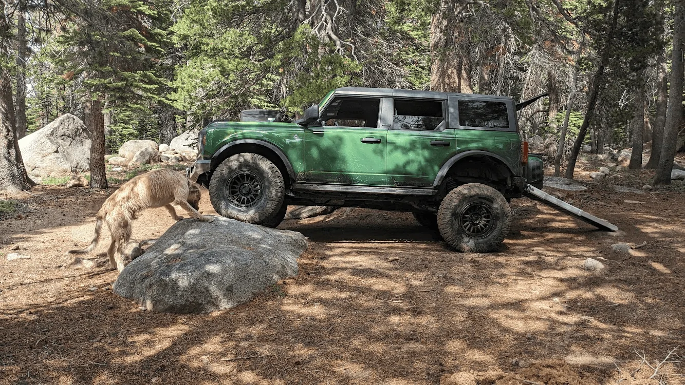 Ford Bronco Big Dogs and your Bronco 1699291186385