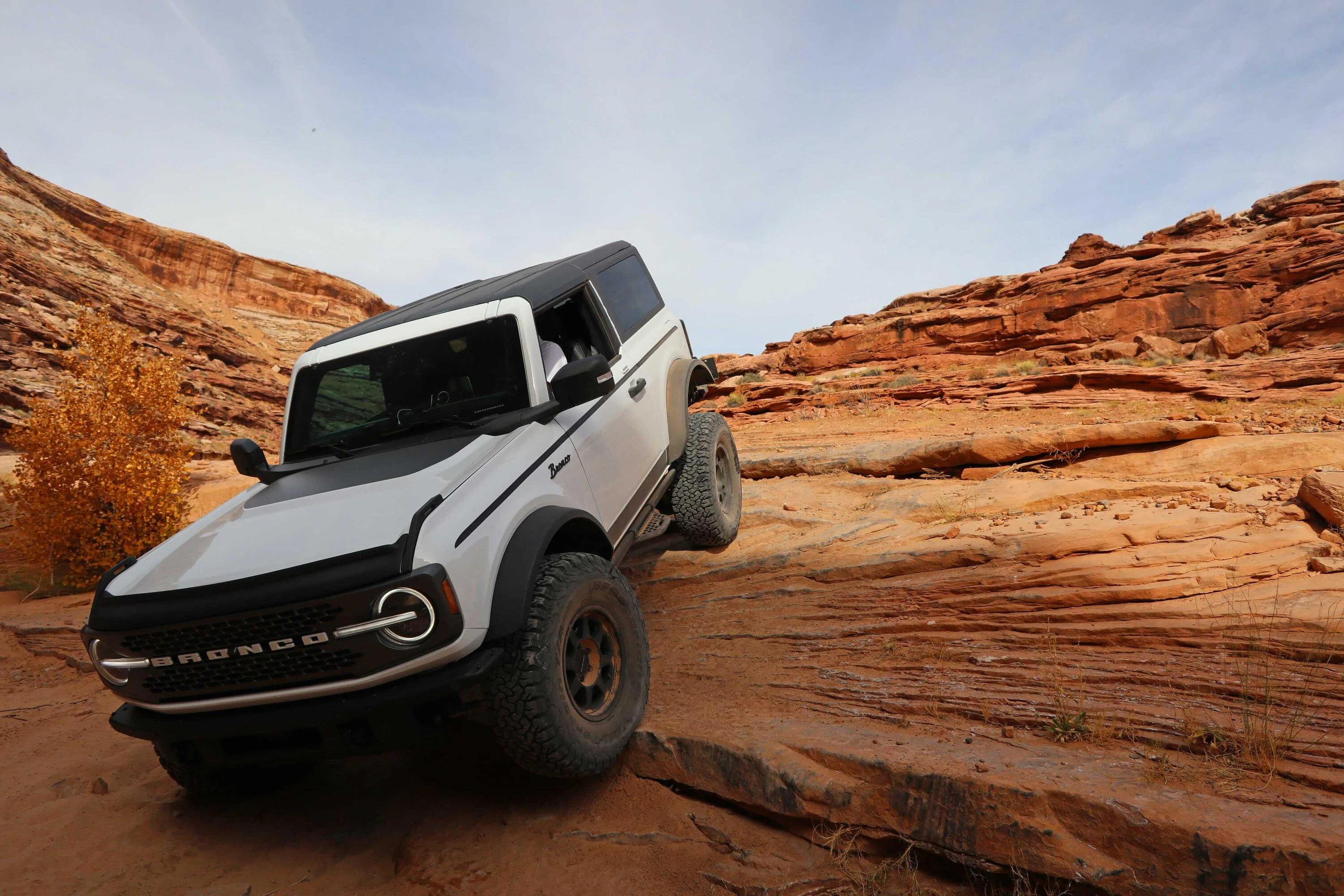 Ford Bronco Bronco Team 2 door. Trail 1