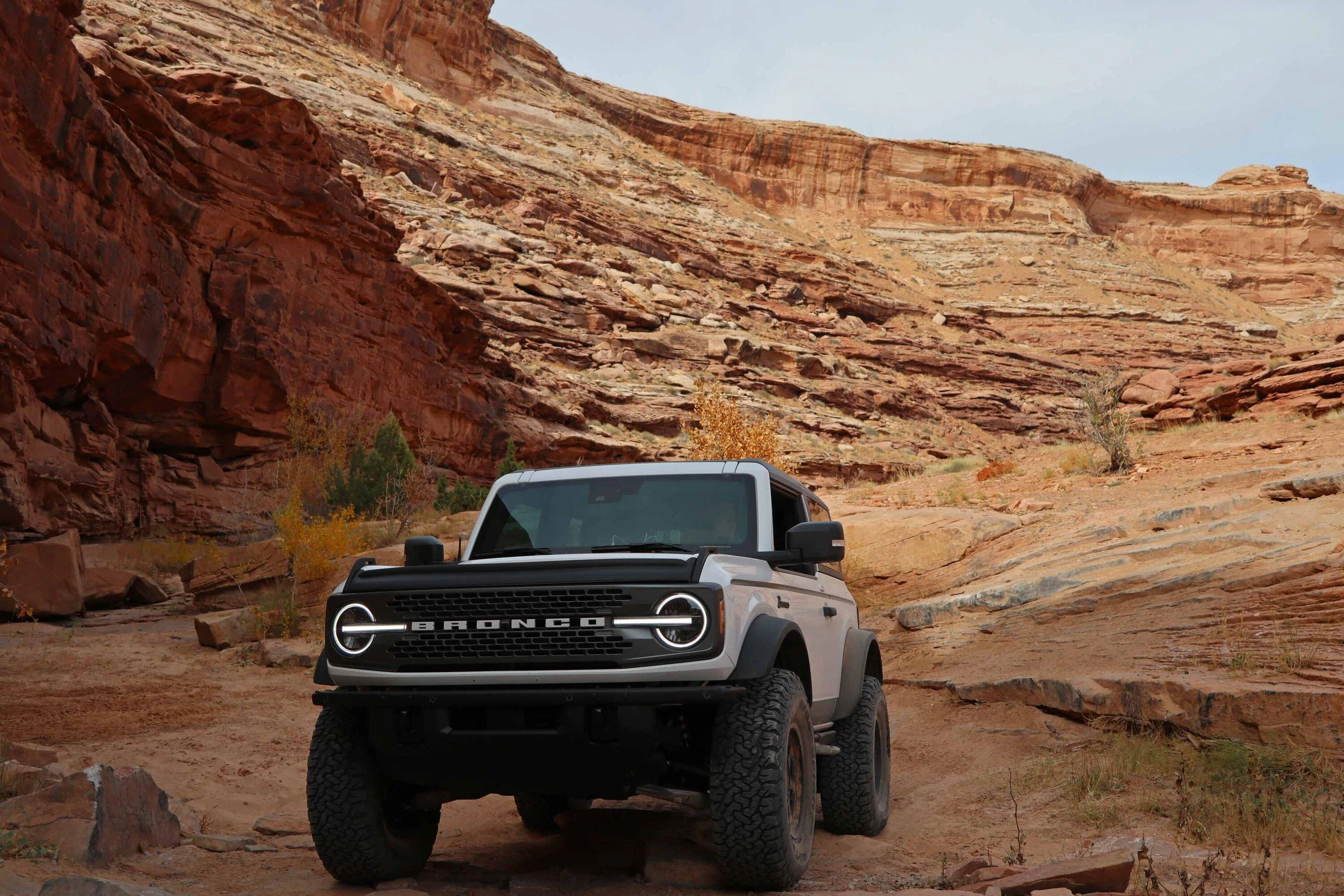 Ford Bronco Bronco Team 2 door. Trail 2
