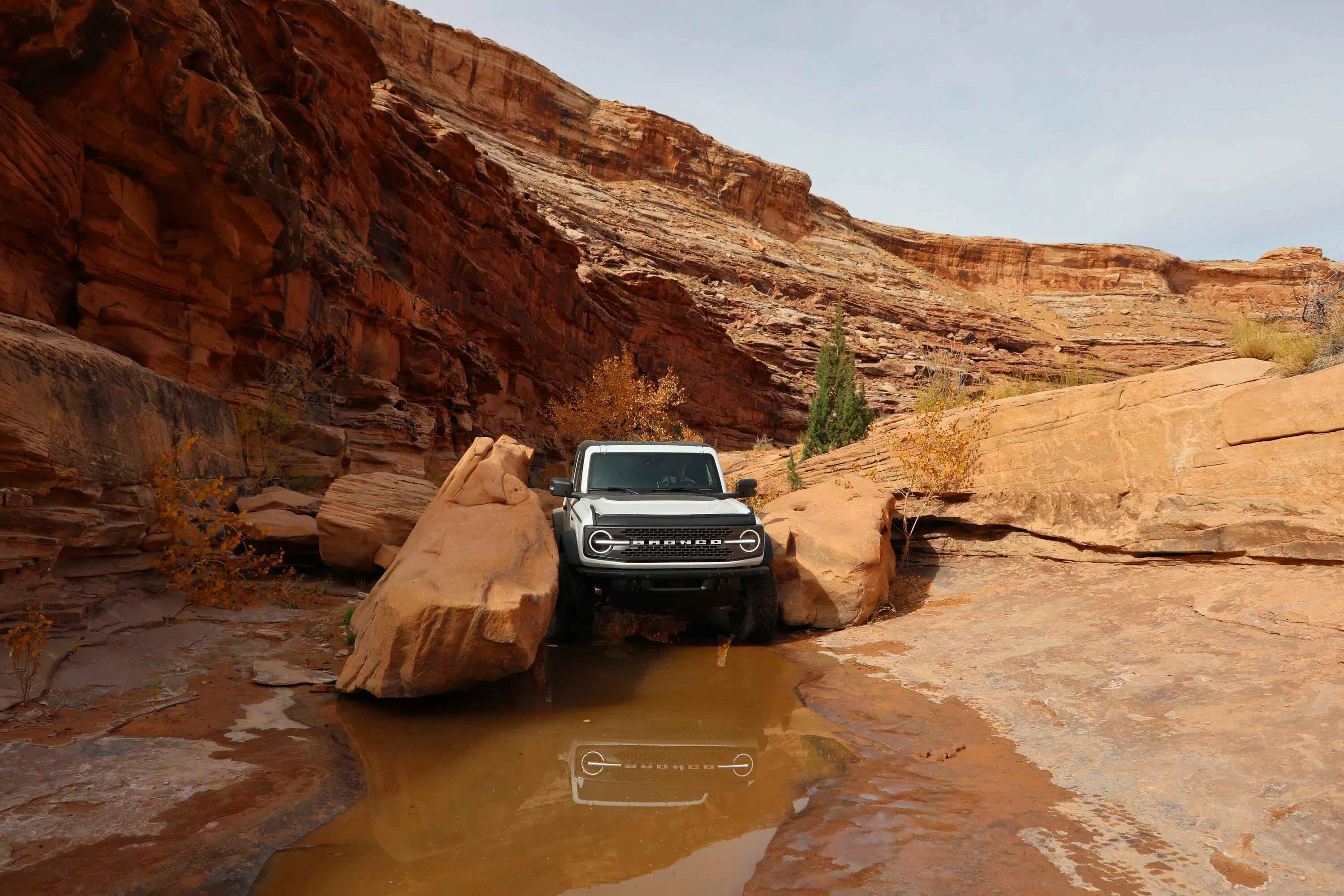 Ford Bronco Bronco Team 2 door. Trail 4
