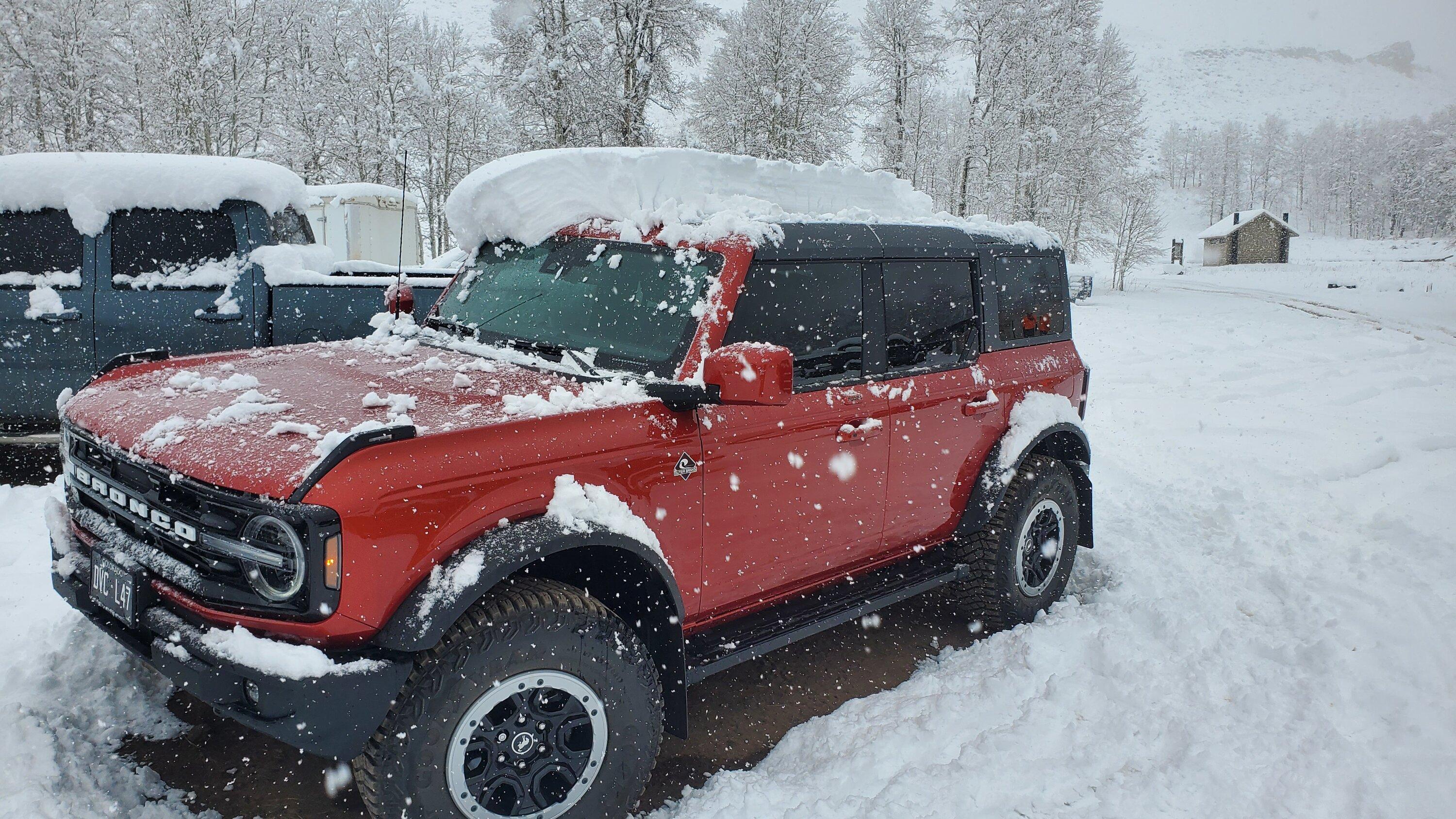 Ford Bronco Door module update fixes window flop 20231028_115242