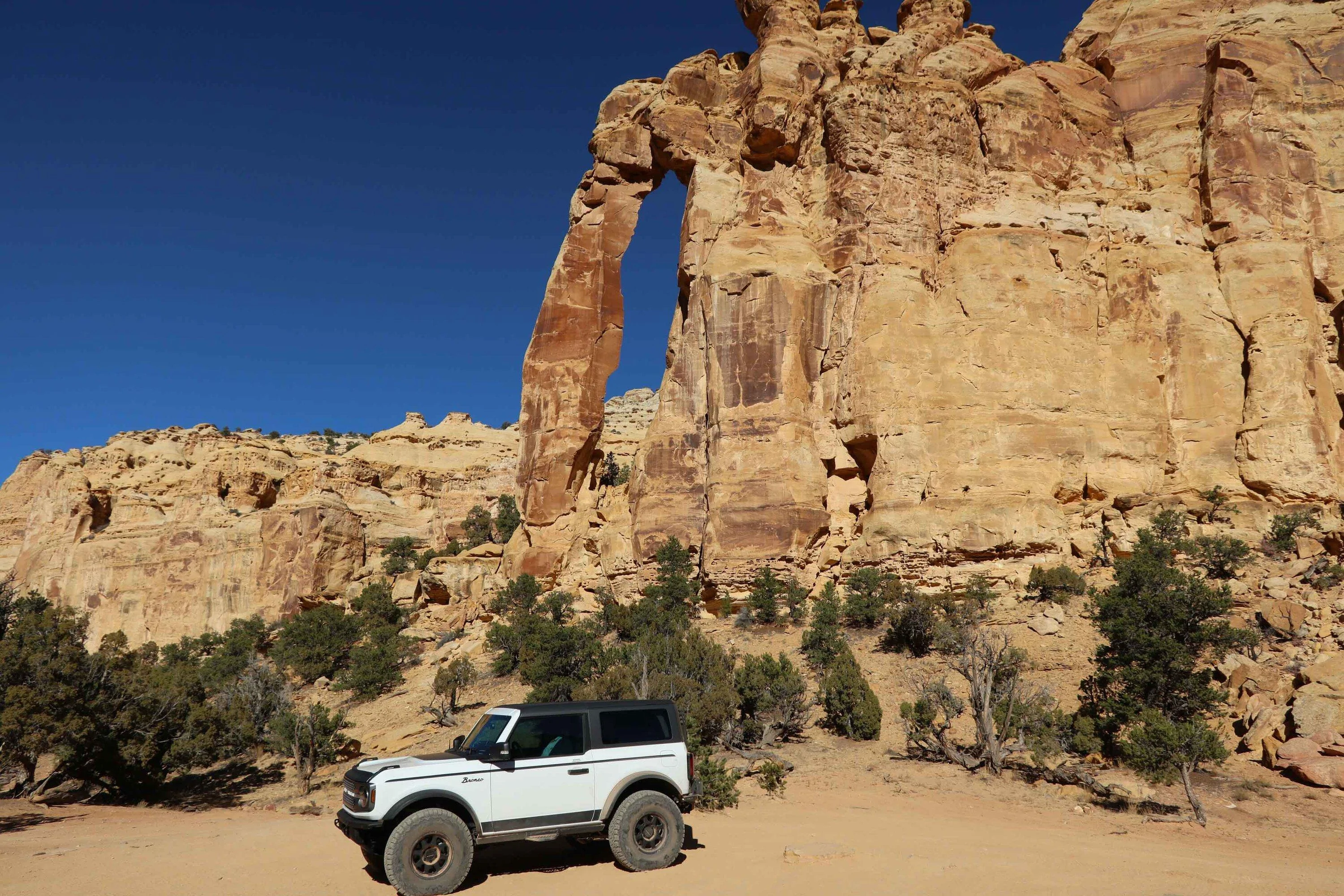 Ford Bronco Bronco Team 2 door. Trail 3