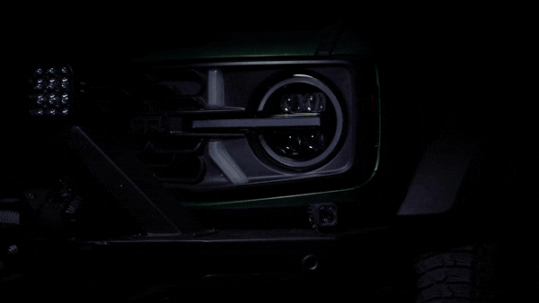 1Cs036l.gif