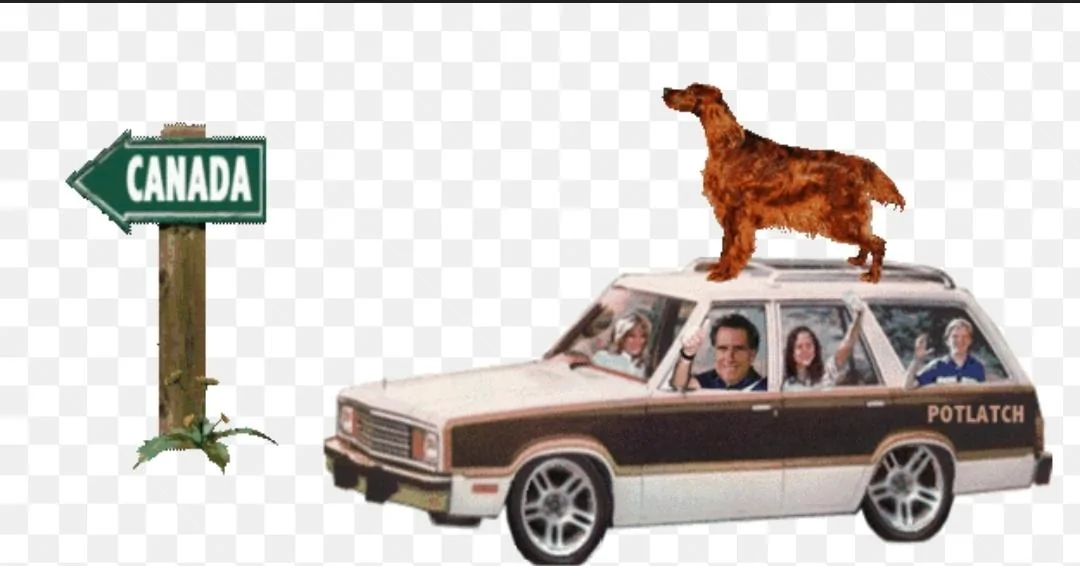 Ford Bronco Dog in Front Seat Screenshot_20231114_234631_Googl