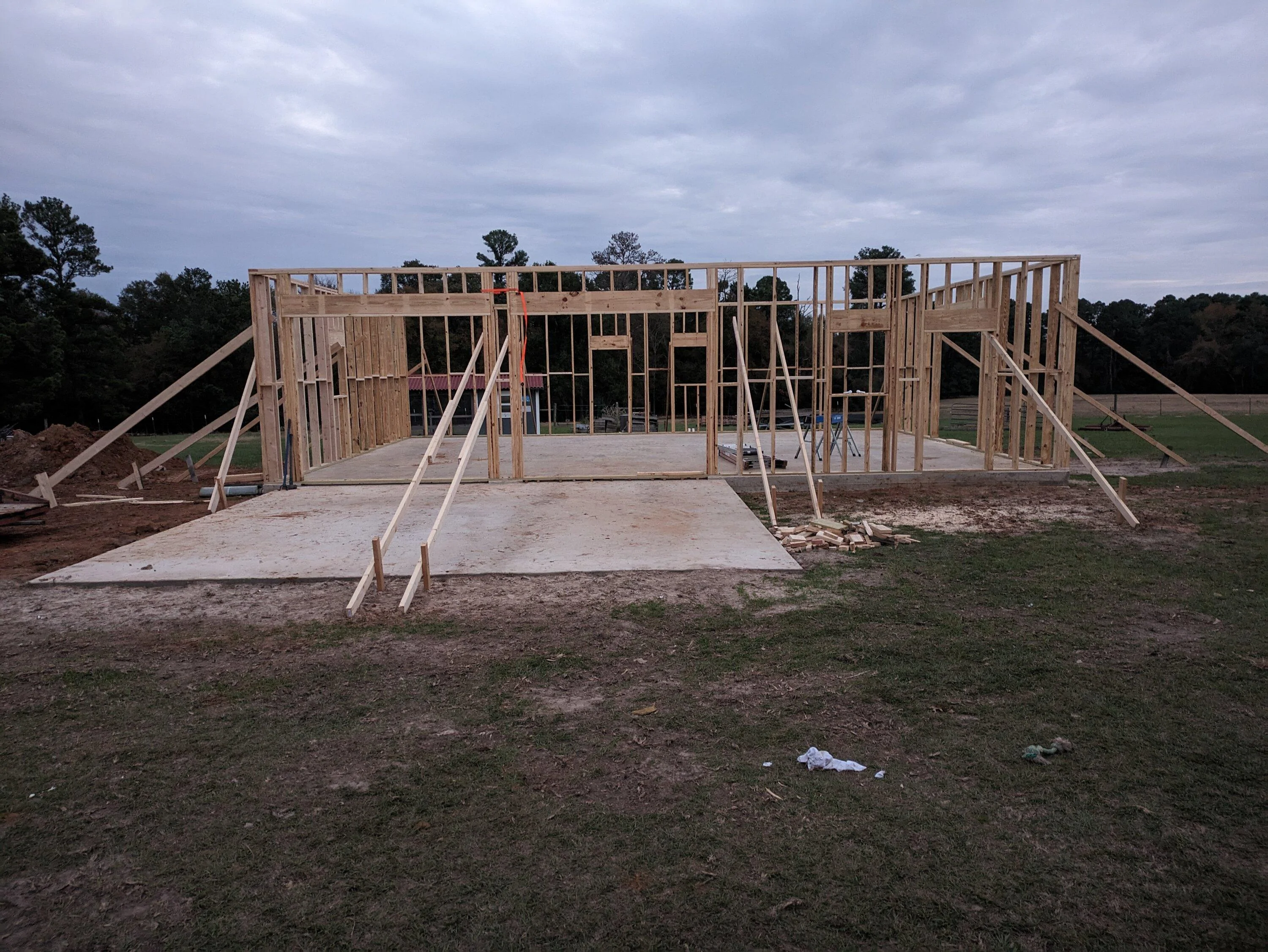PXL_20231113_234518820.jpg