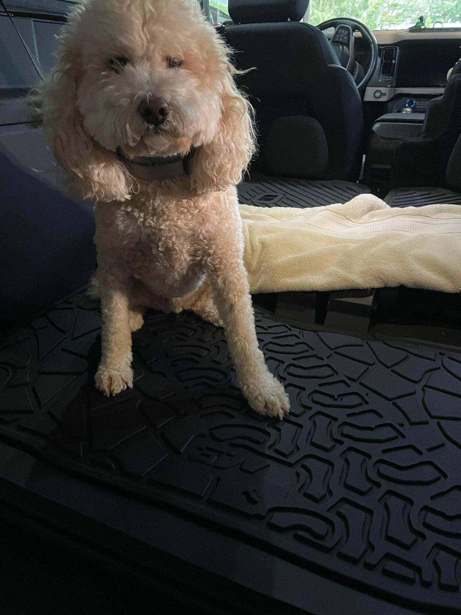 Ford Bronco Feedback From Dog Rusty❤ helifino16 Bronco2dr+Dog2