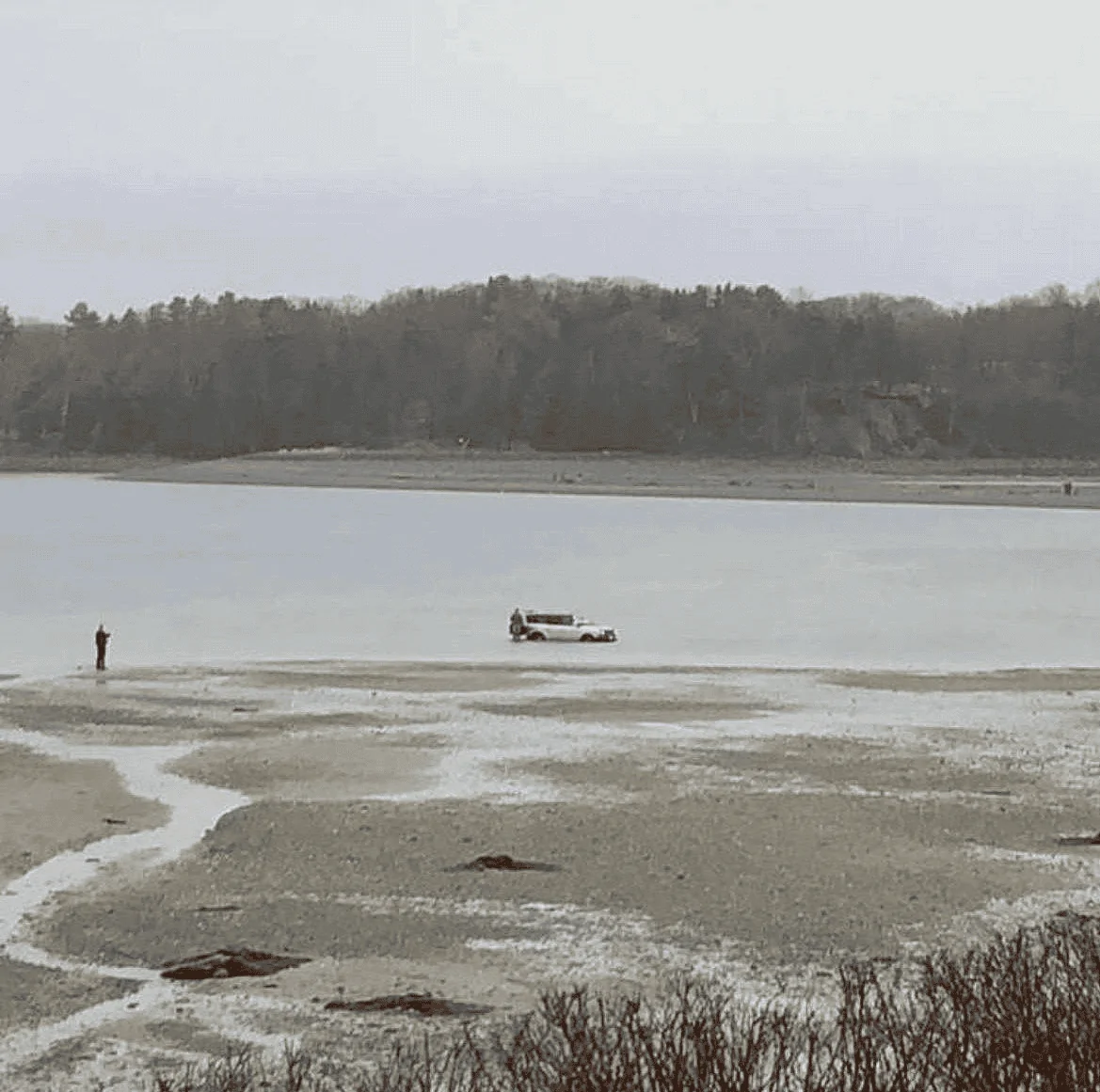 1701200498404.png