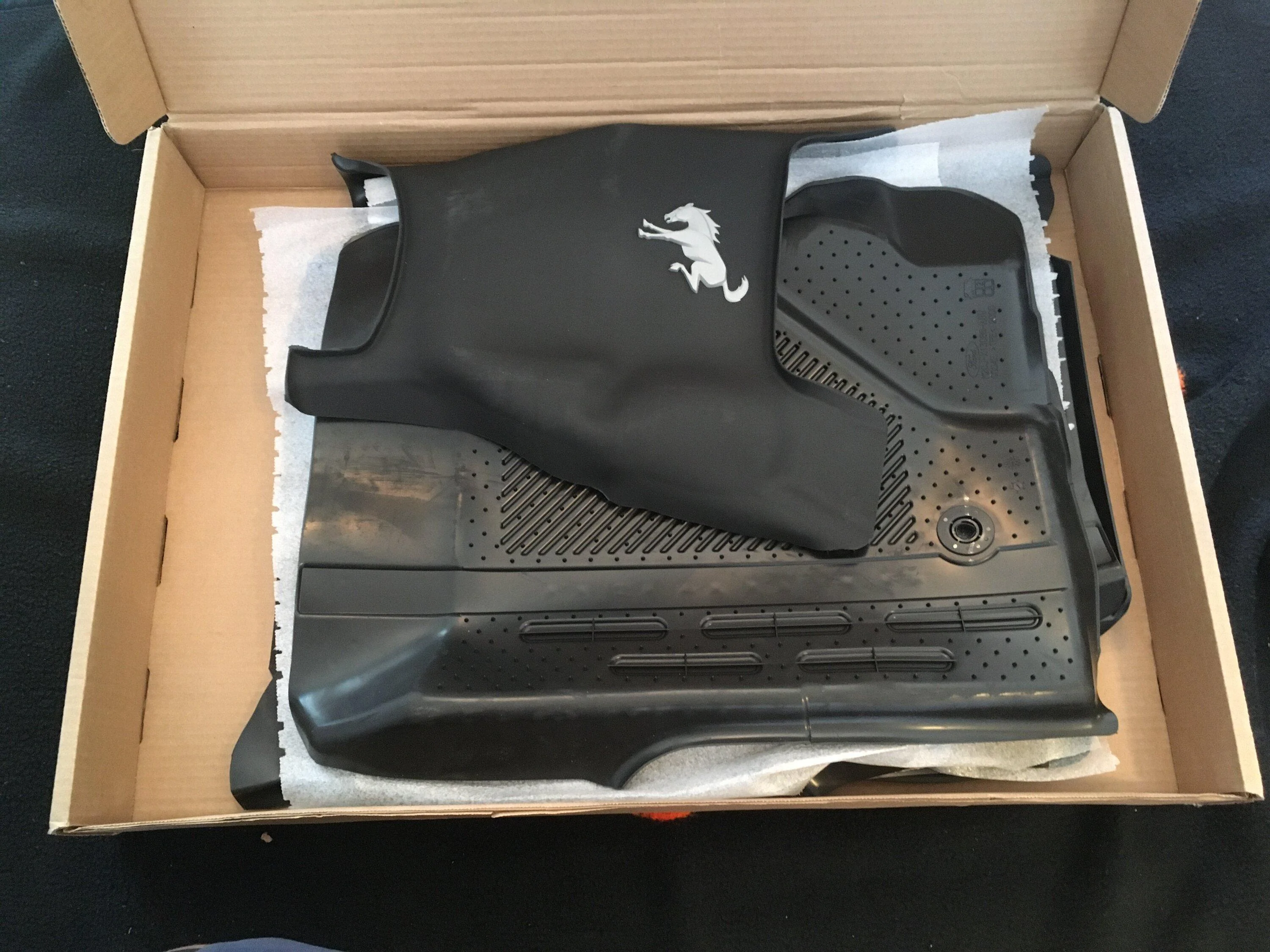 Ford Bronco Floor Mats - All Weather - $100 IMG_9441