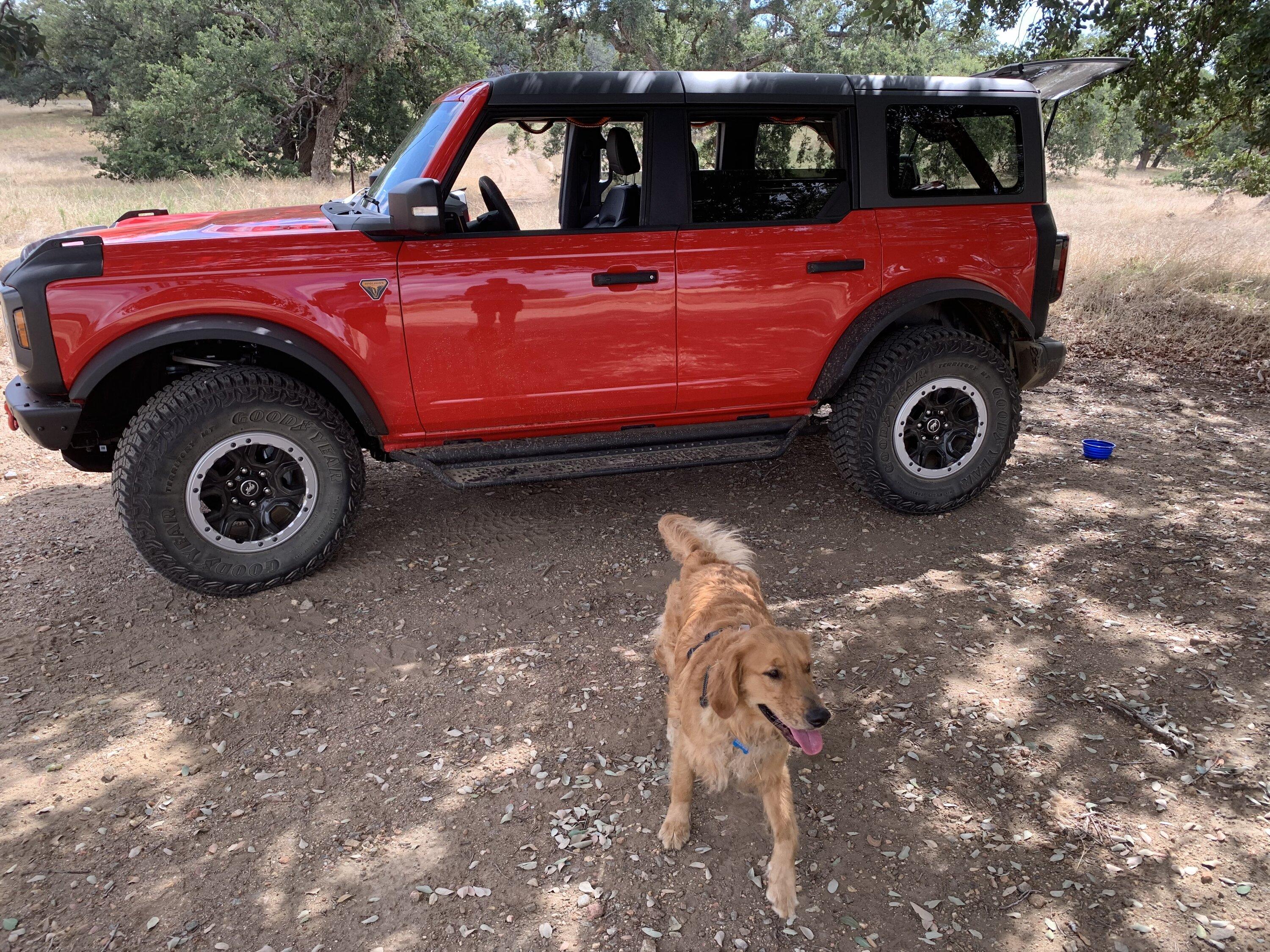 Ford Bronco Happy with BRONCO! IMG_1704