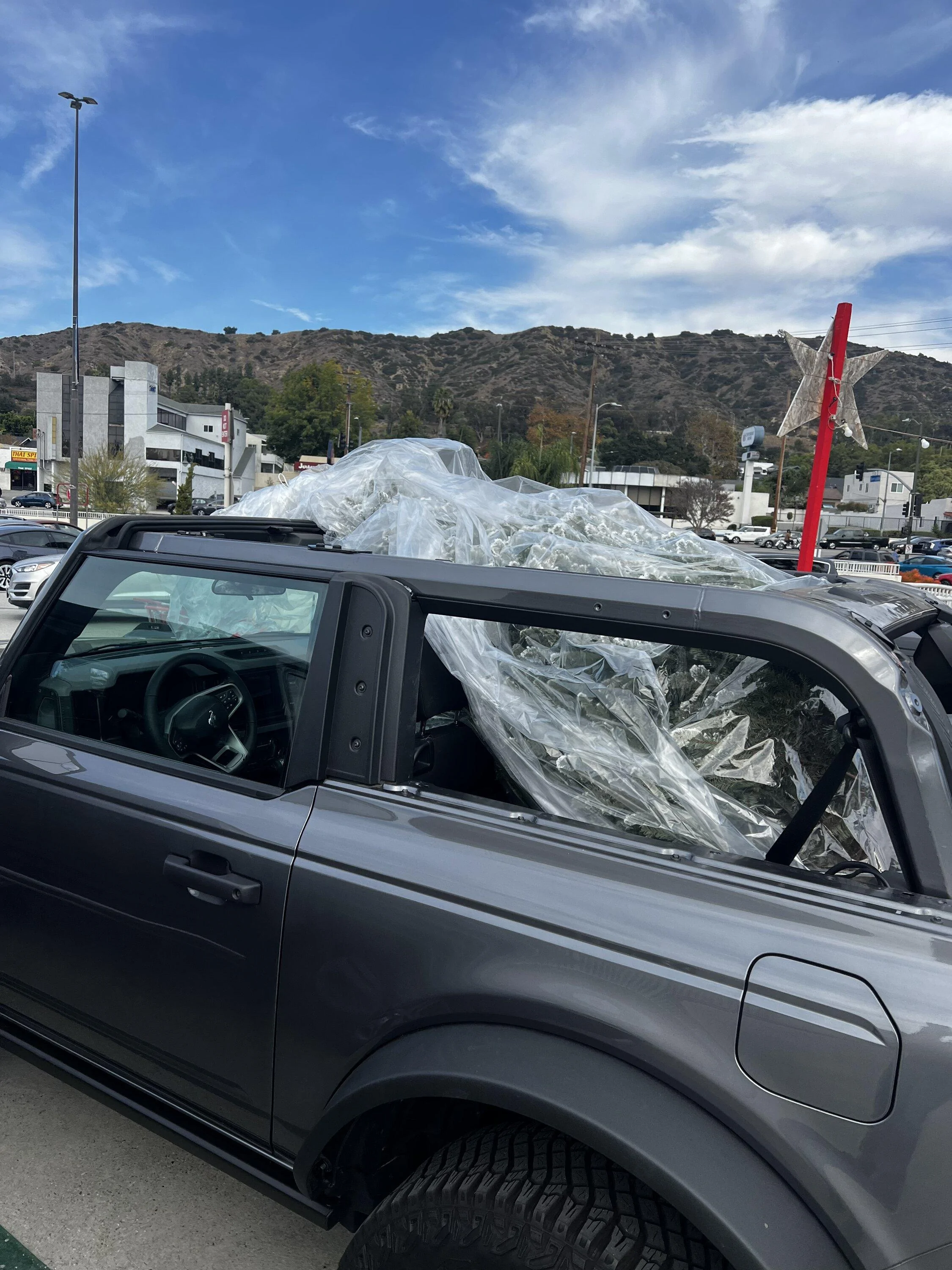 Ford Bronco Christmas tree transporting without roof rack? 883C8869-0B4D-484B-ADE1-FB8BB236A80B