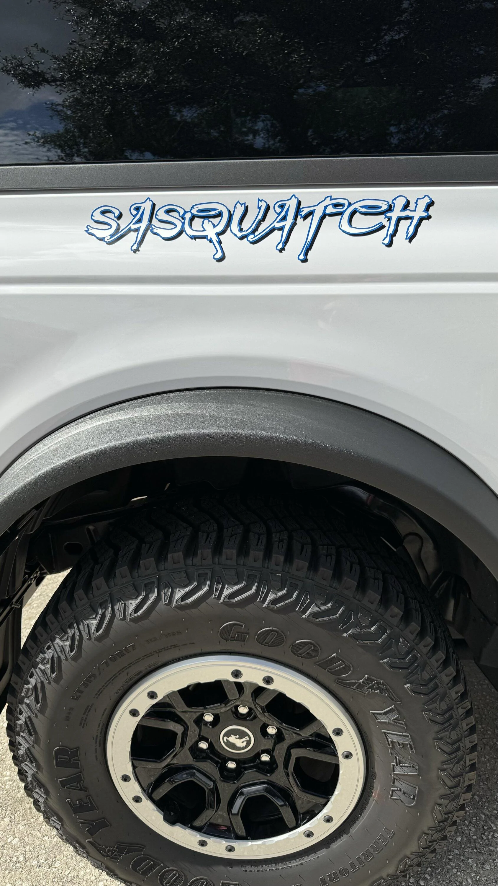Ford Bronco Put any cool / unique vinyl decals on your Bronco?  Let's see them! IMG_2511