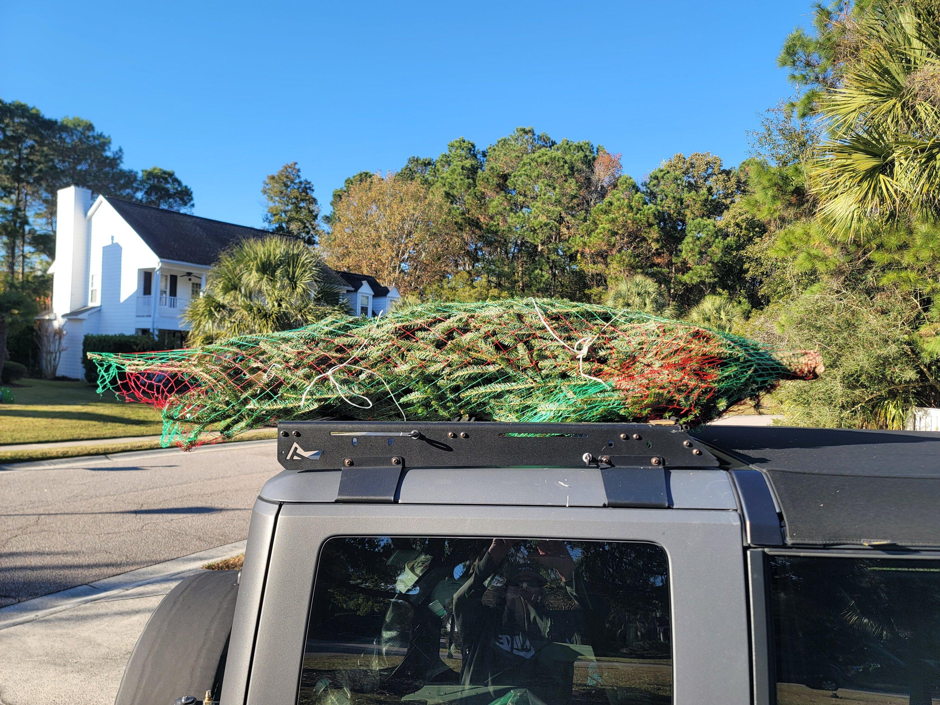 Ford Bronco Christmas tree transporting without roof rack? 20231128_151522