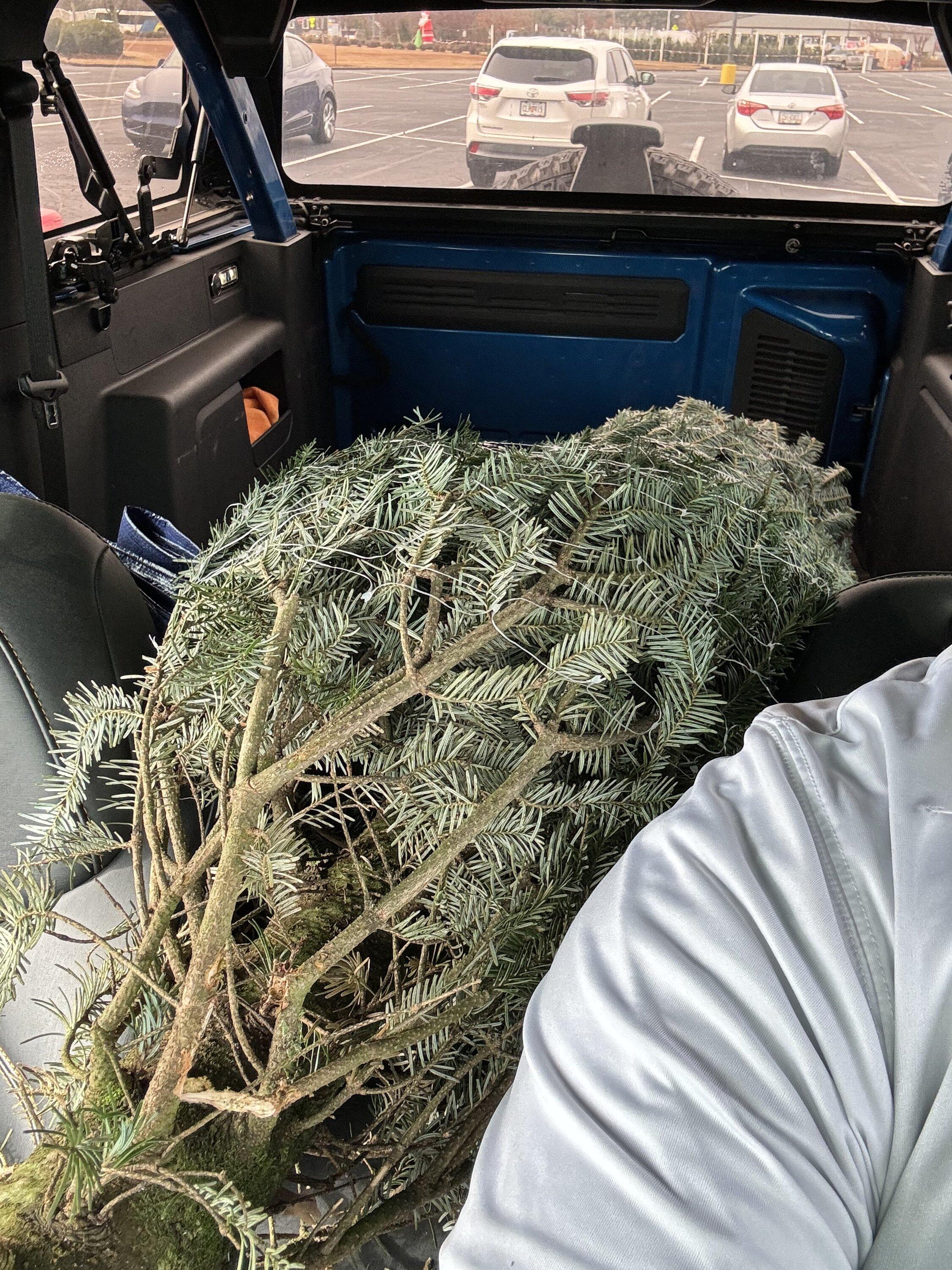 Ford Bronco Christmas tree transporting without roof rack? IMG_0709
