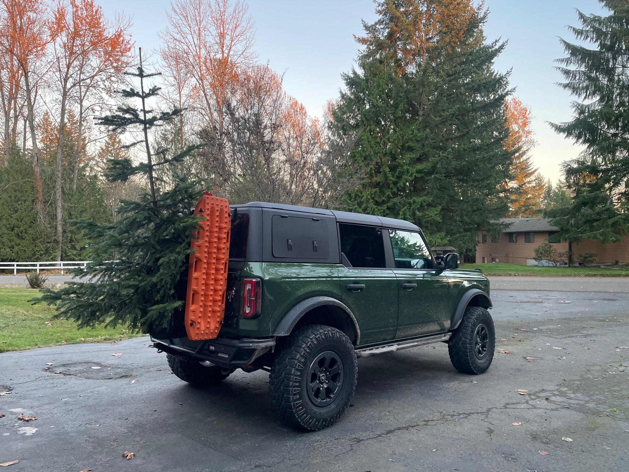 Ford Bronco Christmas tree transporting without roof rack? Tree