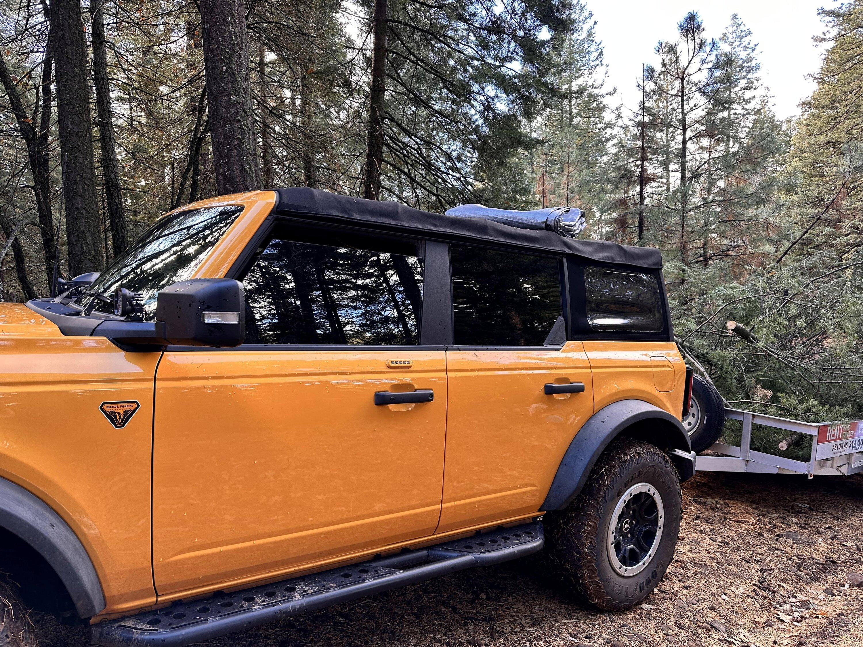 Ford Bronco Christmas tree transporting without roof rack? IMG_2048_exported_133_1700412338926
