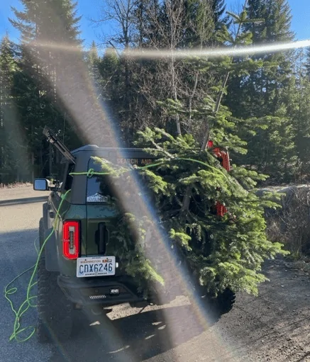 Ford Bronco Christmas tree transporting without roof rack? 1702314133182