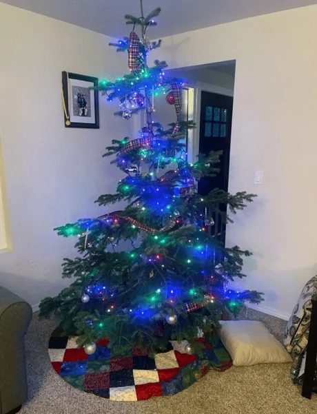 Ford Bronco Christmas tree transporting without roof rack? 1702314191743
