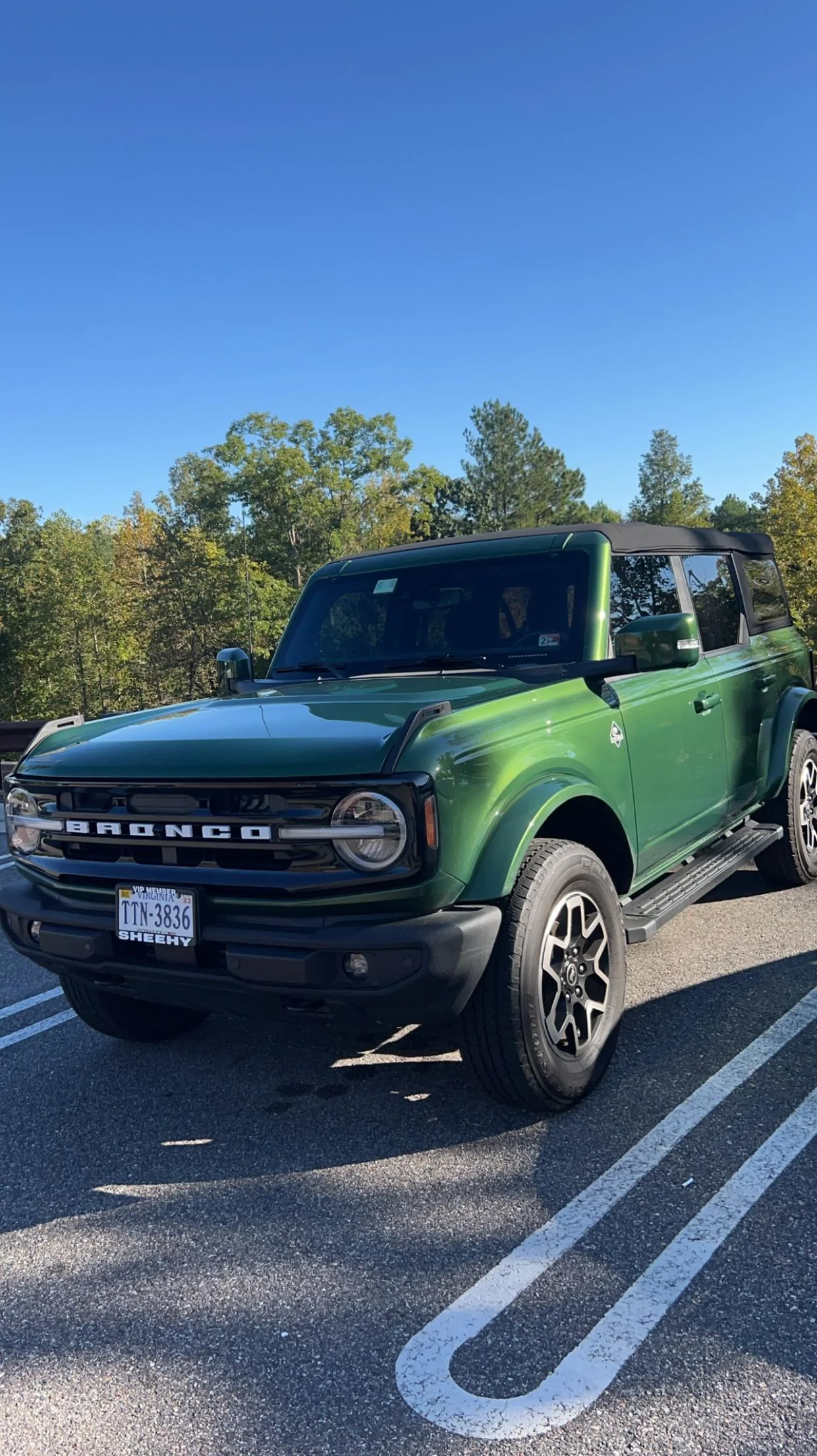 Ford Bronco Bronco for Sale IMG_1095