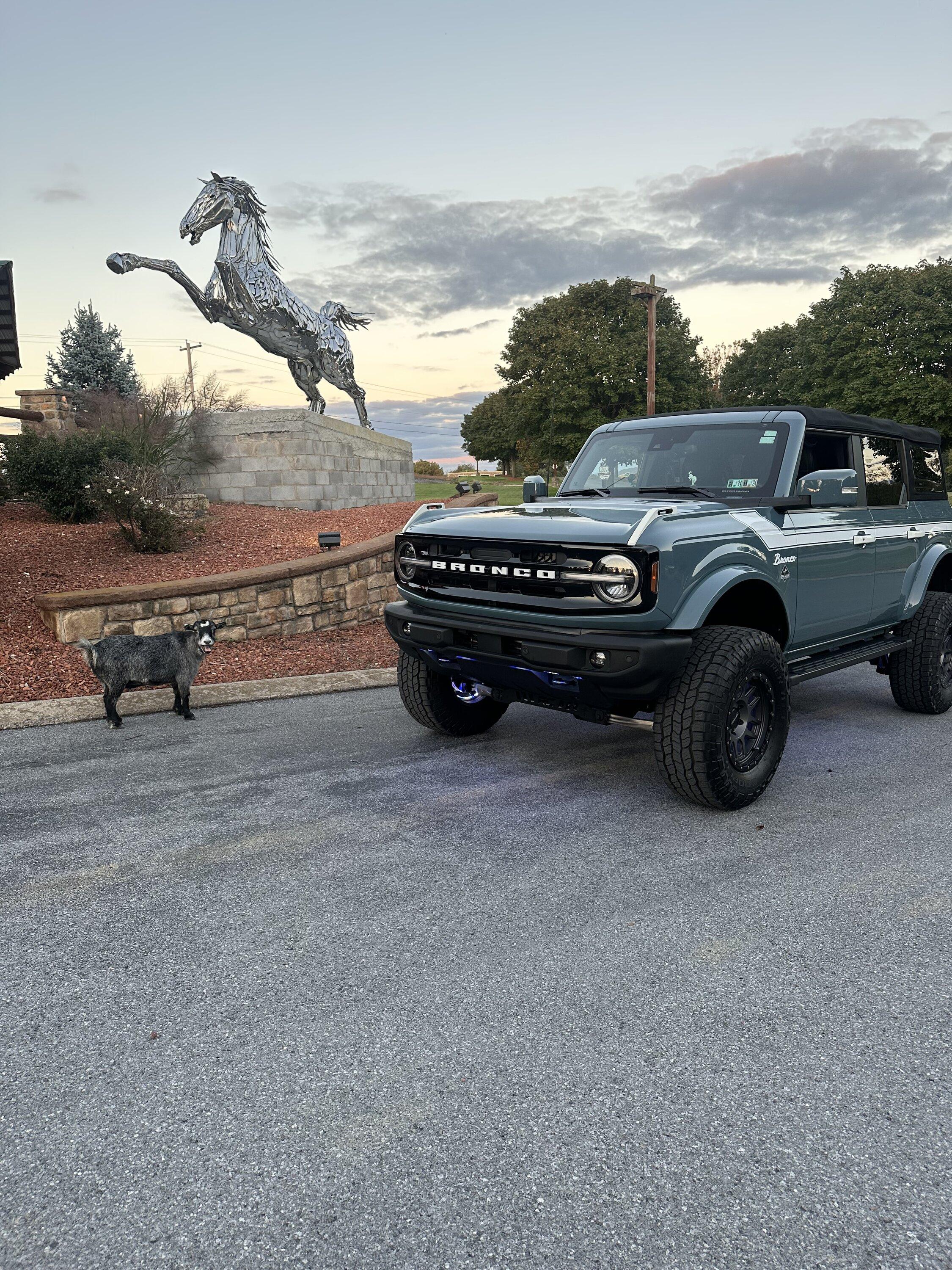 Ford Bronco More pics with the chrome horse and our bronco IMG_0584