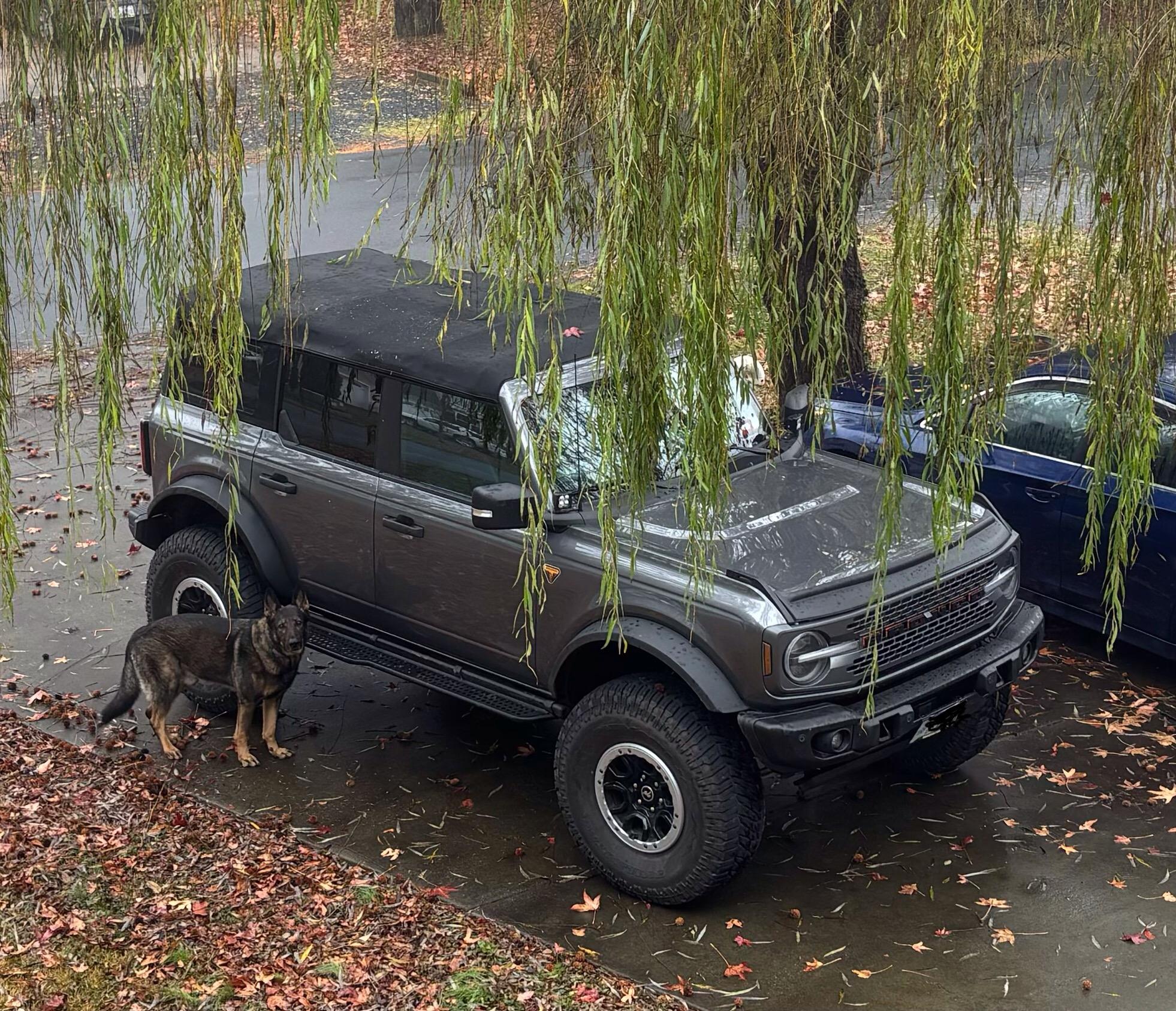 Ford Bronco Badsquatch now on 38’s IMG_0102