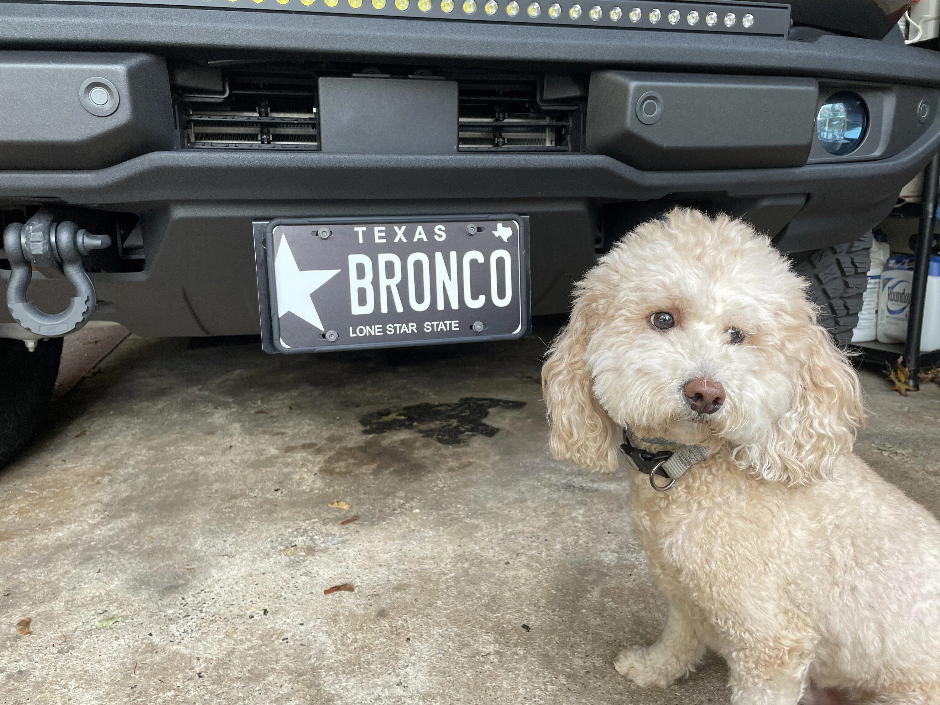 Ford Bronco Front license plate holder recs? IMG_3648
