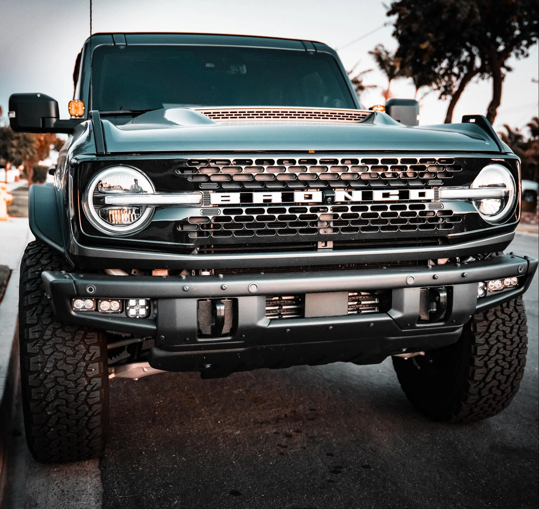 Ford Bronco Badlands Build: Fox 2.5 / Camburg UCA / APG lower links / KMC wheels / 37" BFG KO2 / ADV Hood IMG_0128