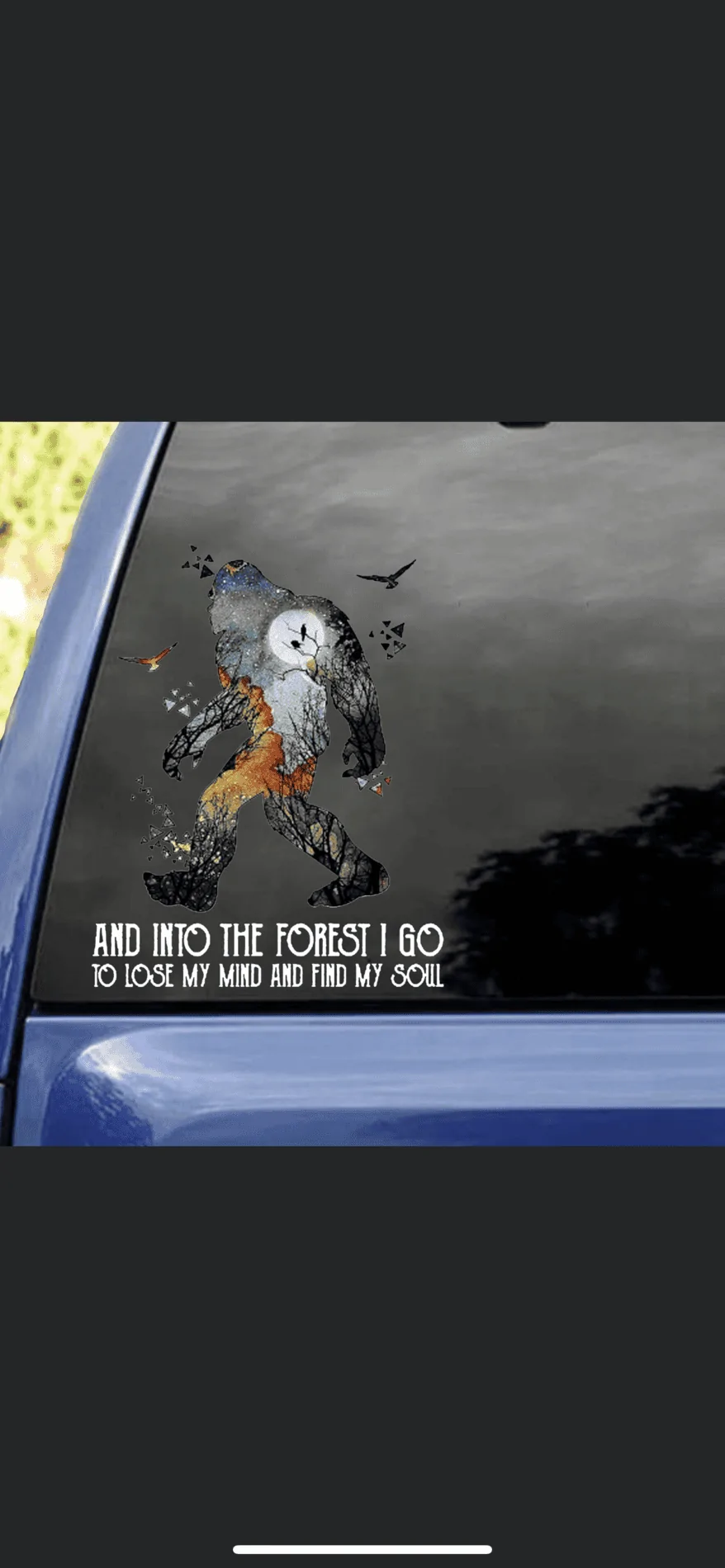 Ford Bronco Sasquatch window stickers 4FDDF611-B9F3-4CEC-8DB0-24BDA0679E11