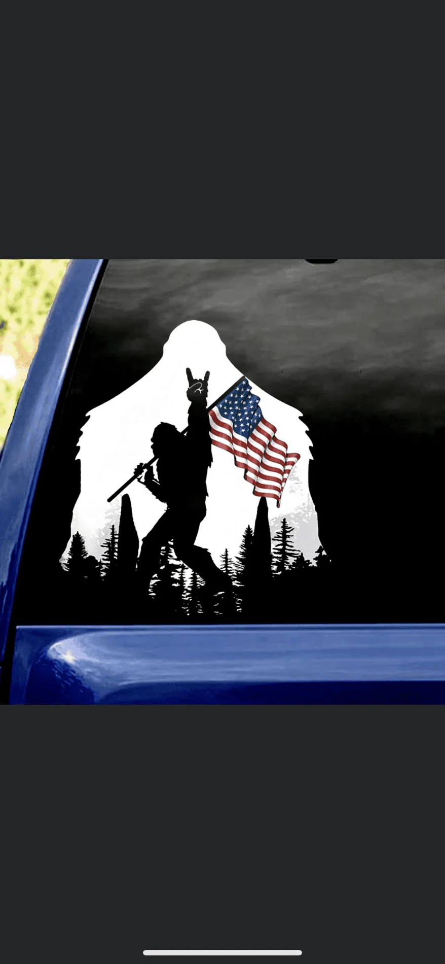 Ford Bronco Sasquatch window stickers FFD08602-97FE-44C9-A117-E2C92B39E389