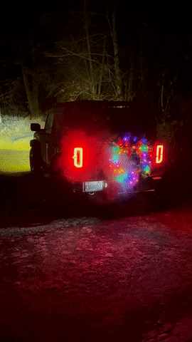 Ford Bronco It's Christmas Lights Time 🎄 Show Yours! IMG_0961