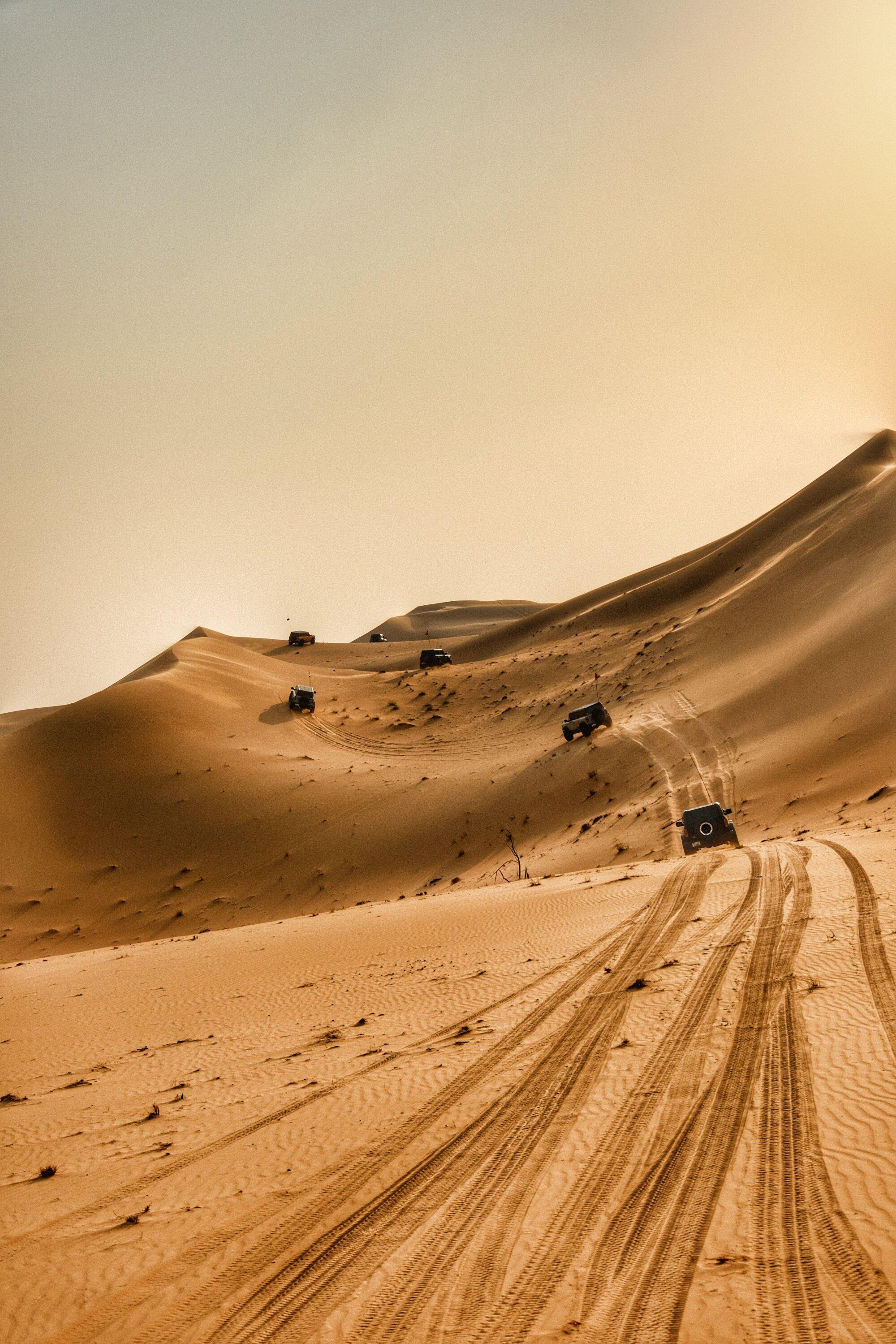 Ford Bronco Sand wheeling advice WhatsApp Image 2023-10-15 at 5.08.36 PM