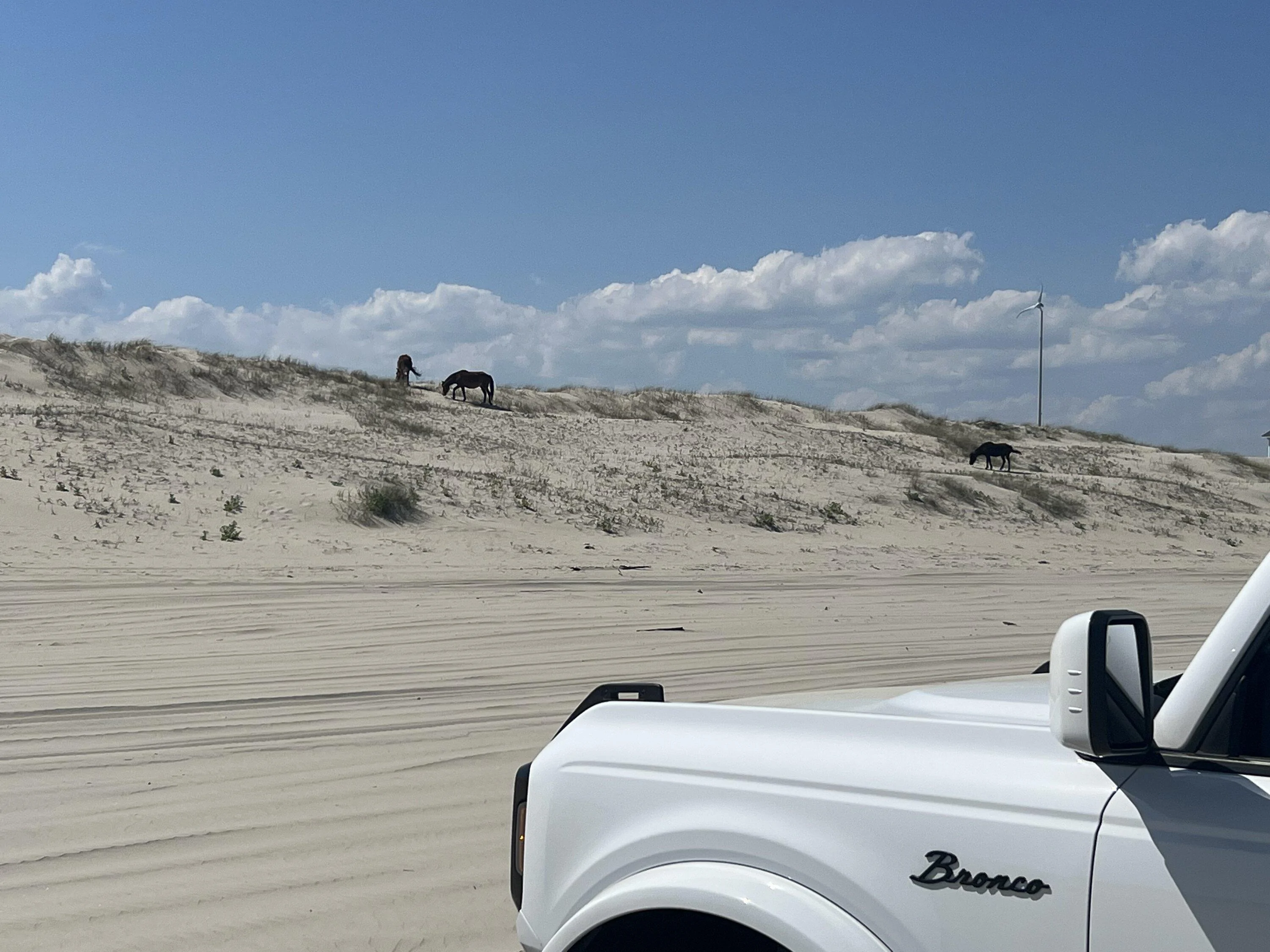 Ford Bronco Sand wheeling advice IMG_0671