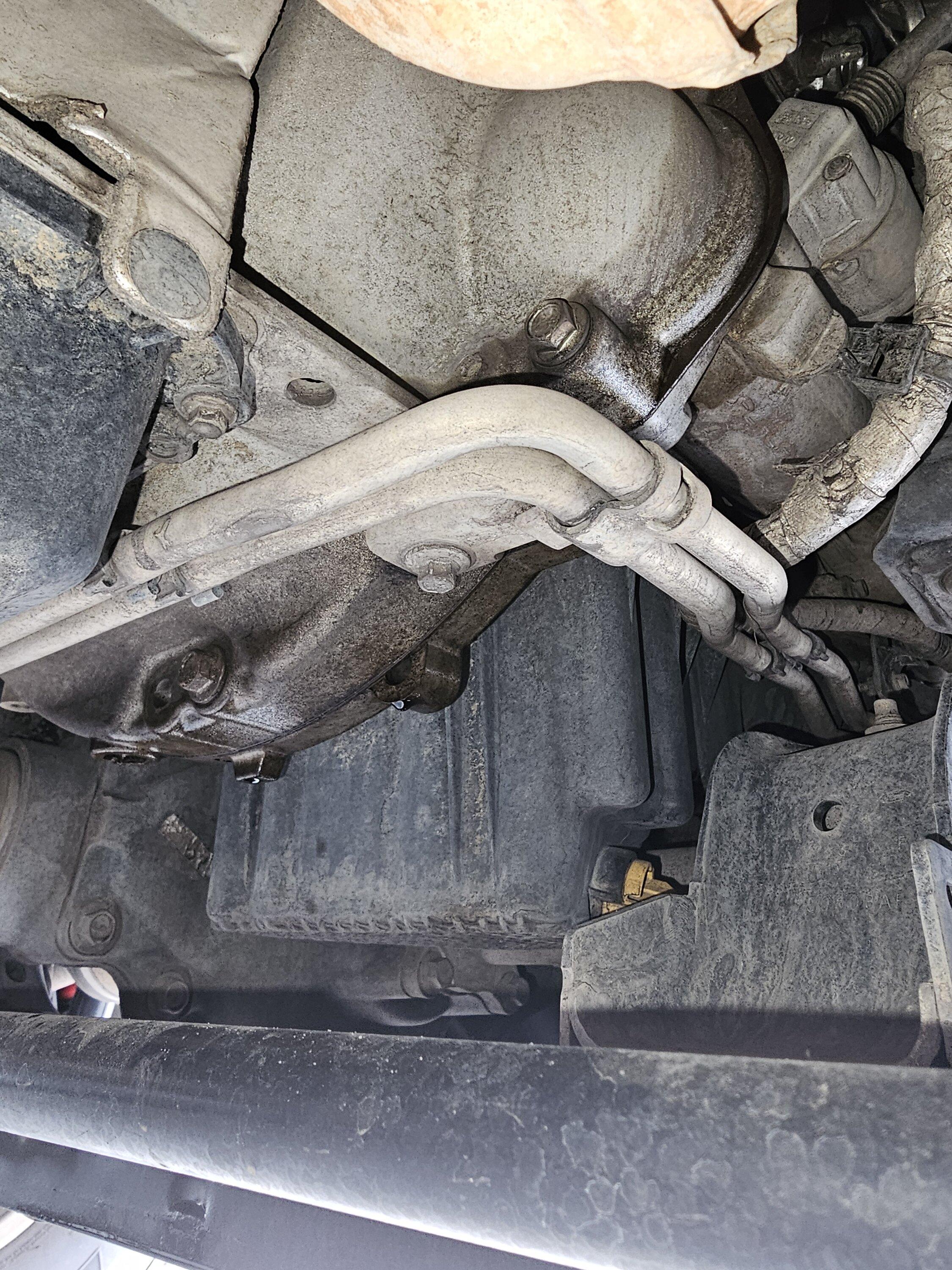 Ford Bronco Please HELP! Oil leak! 1000010605