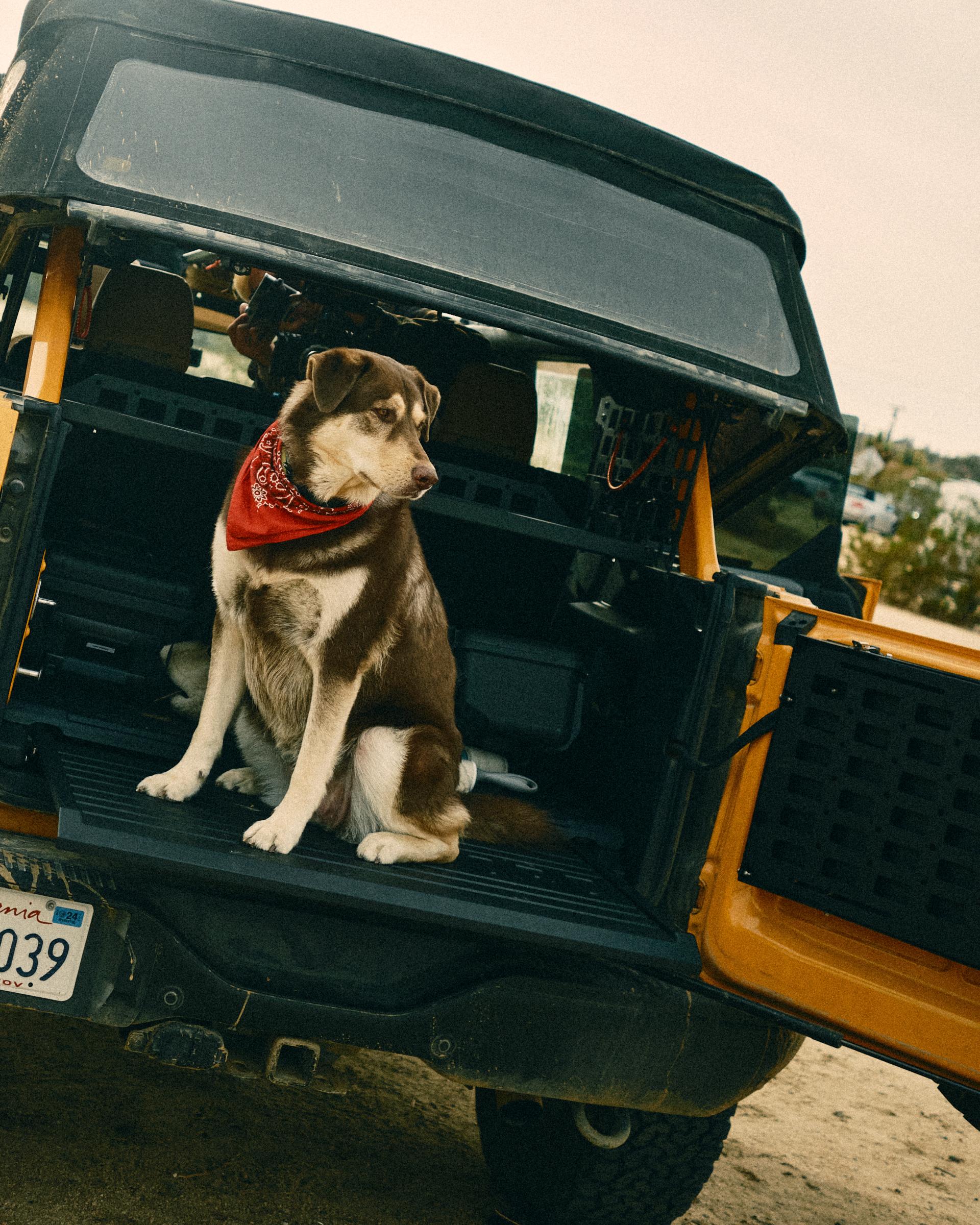 Ford Bronco Aftermarket slide out tailgate?? DSCF5597.JPG
