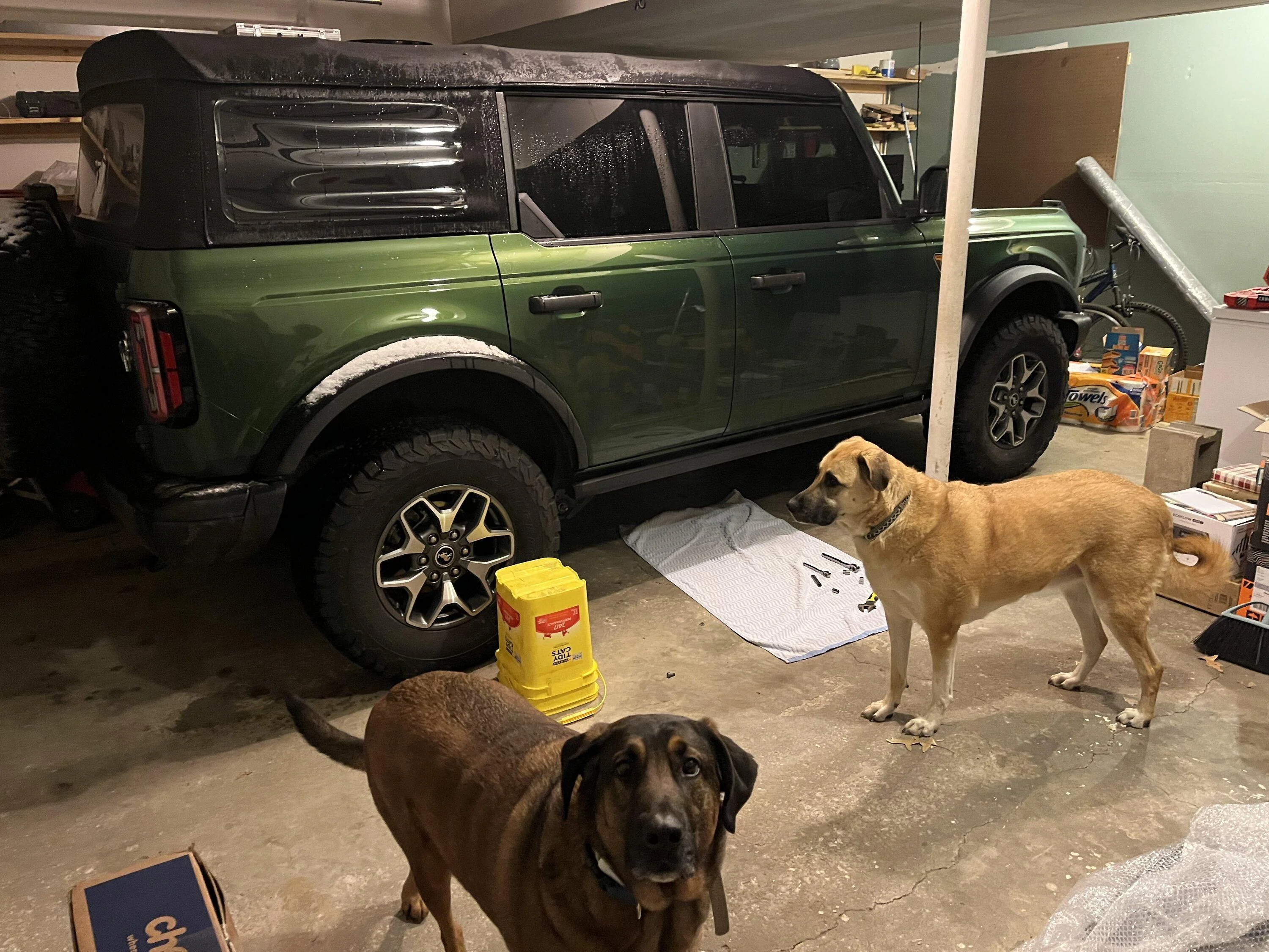 Ford Bronco ERUPTION GREEN Bronco Club FD4FCDE2-385C-4D36-9D39-EFC0C1F6E01D