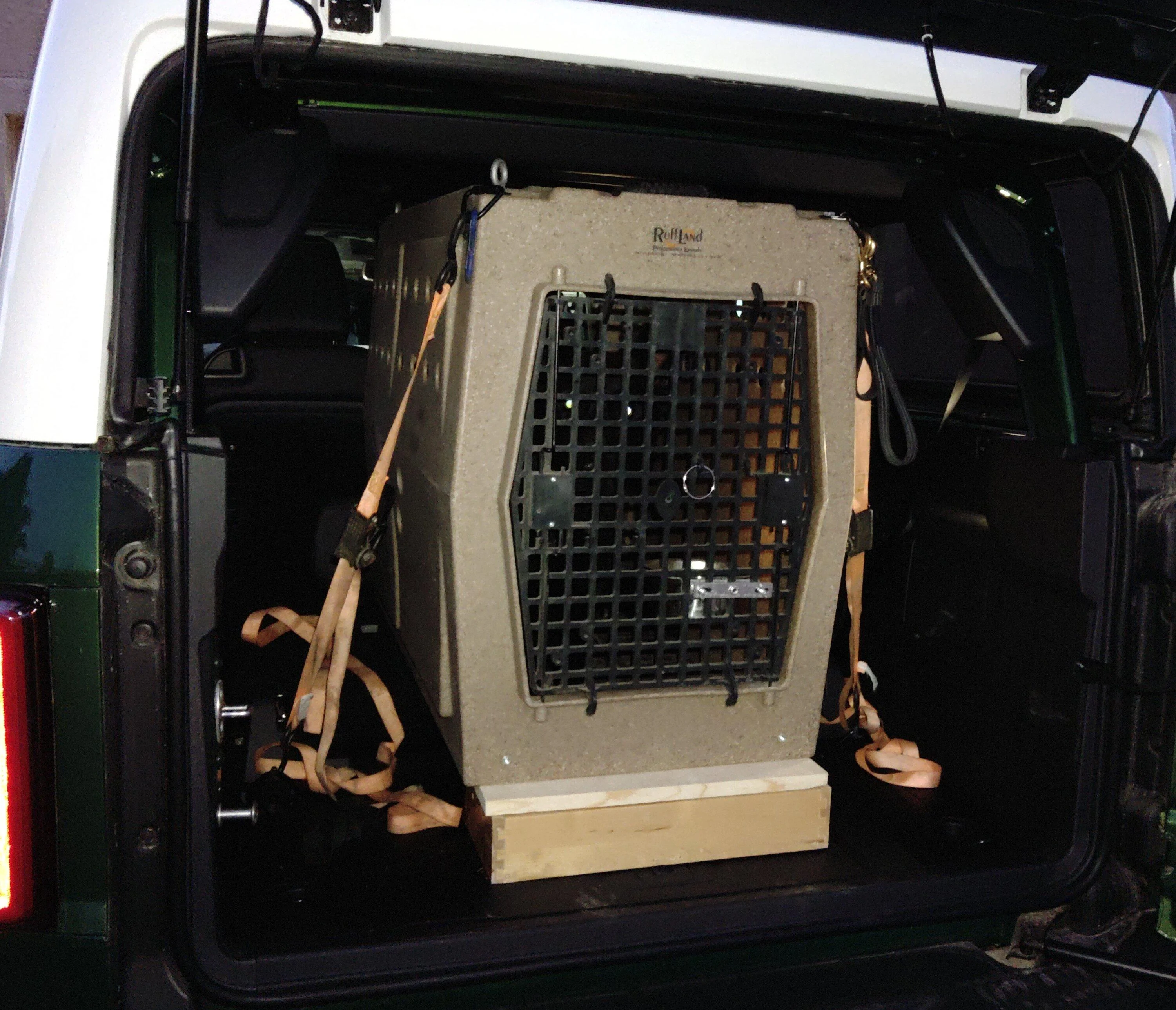 Ford Bronco Kennel Size KIMG0082