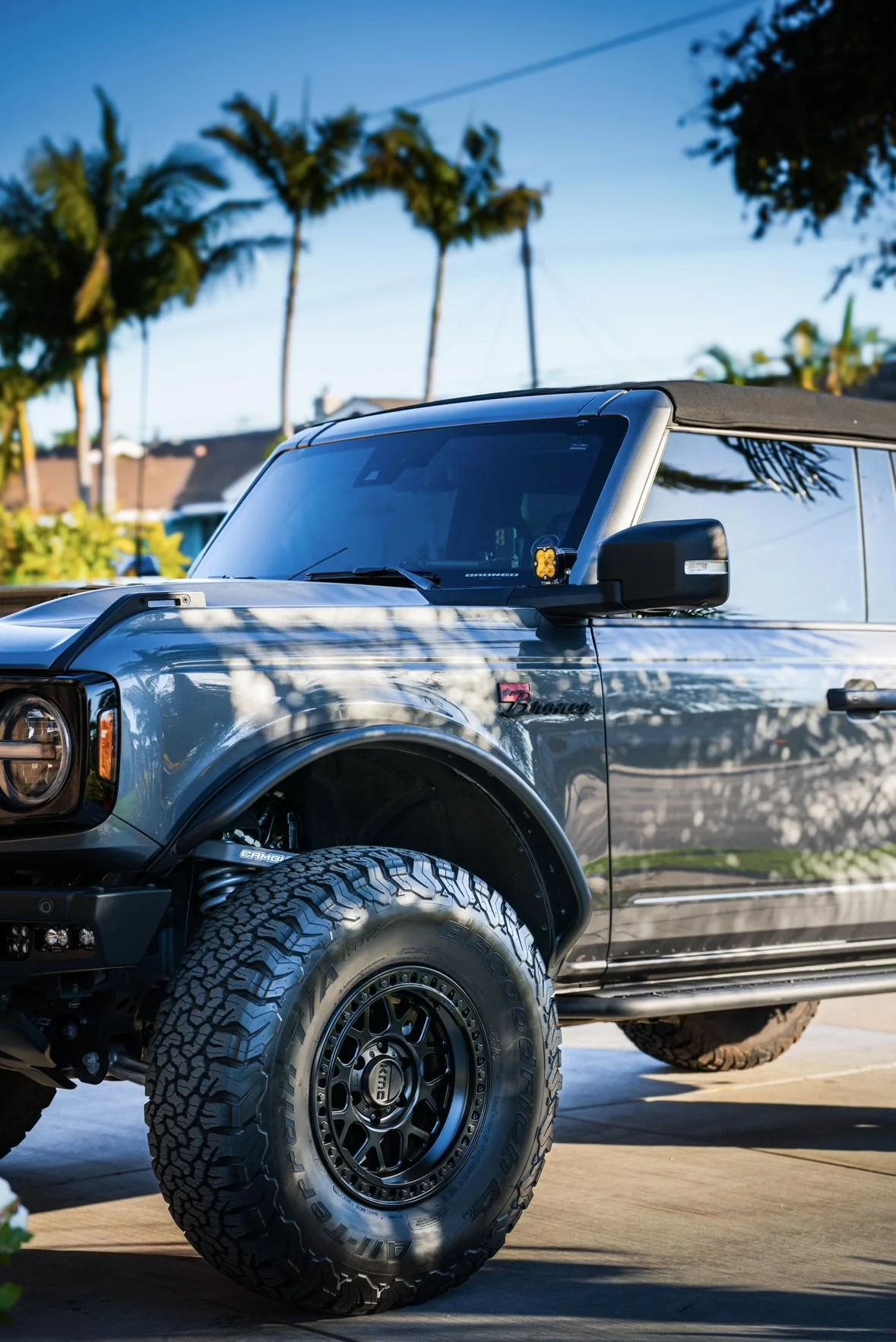 Ford Bronco GoRhino Dominator Steps 4dr ($250) IMG_5722