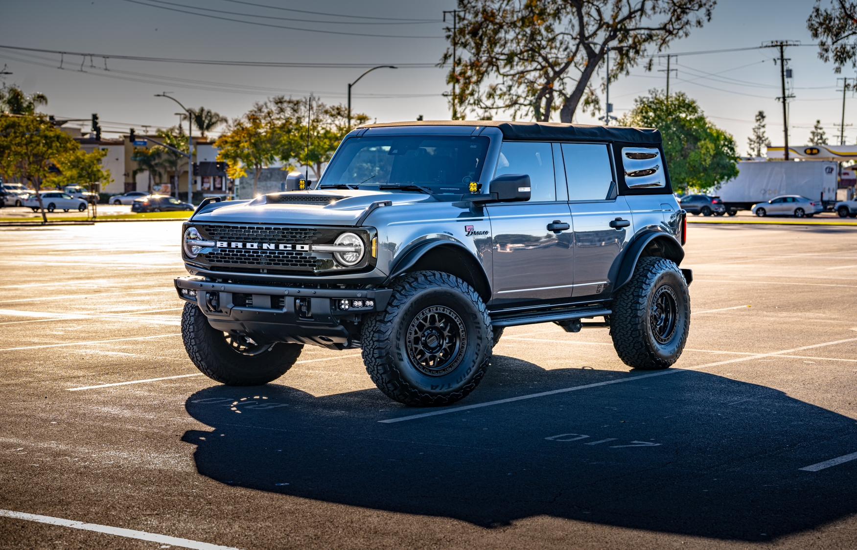 Ford Bronco GoRhino Dominator Steps 4dr ($250) IMG_5724