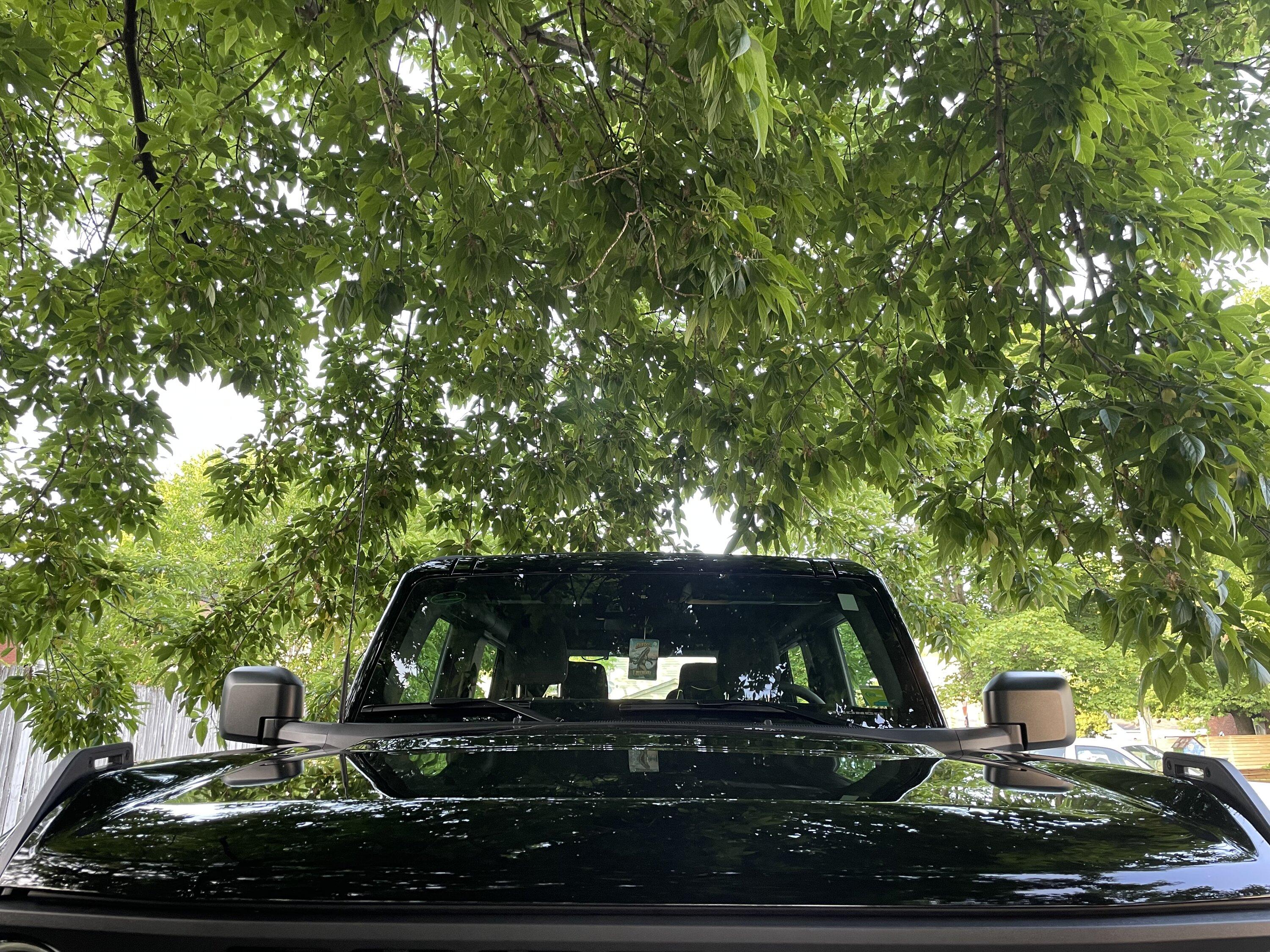 Ford Bronco Happy Fri-YAY!!! Let's see those Front End Selfies!!! IMG_2601