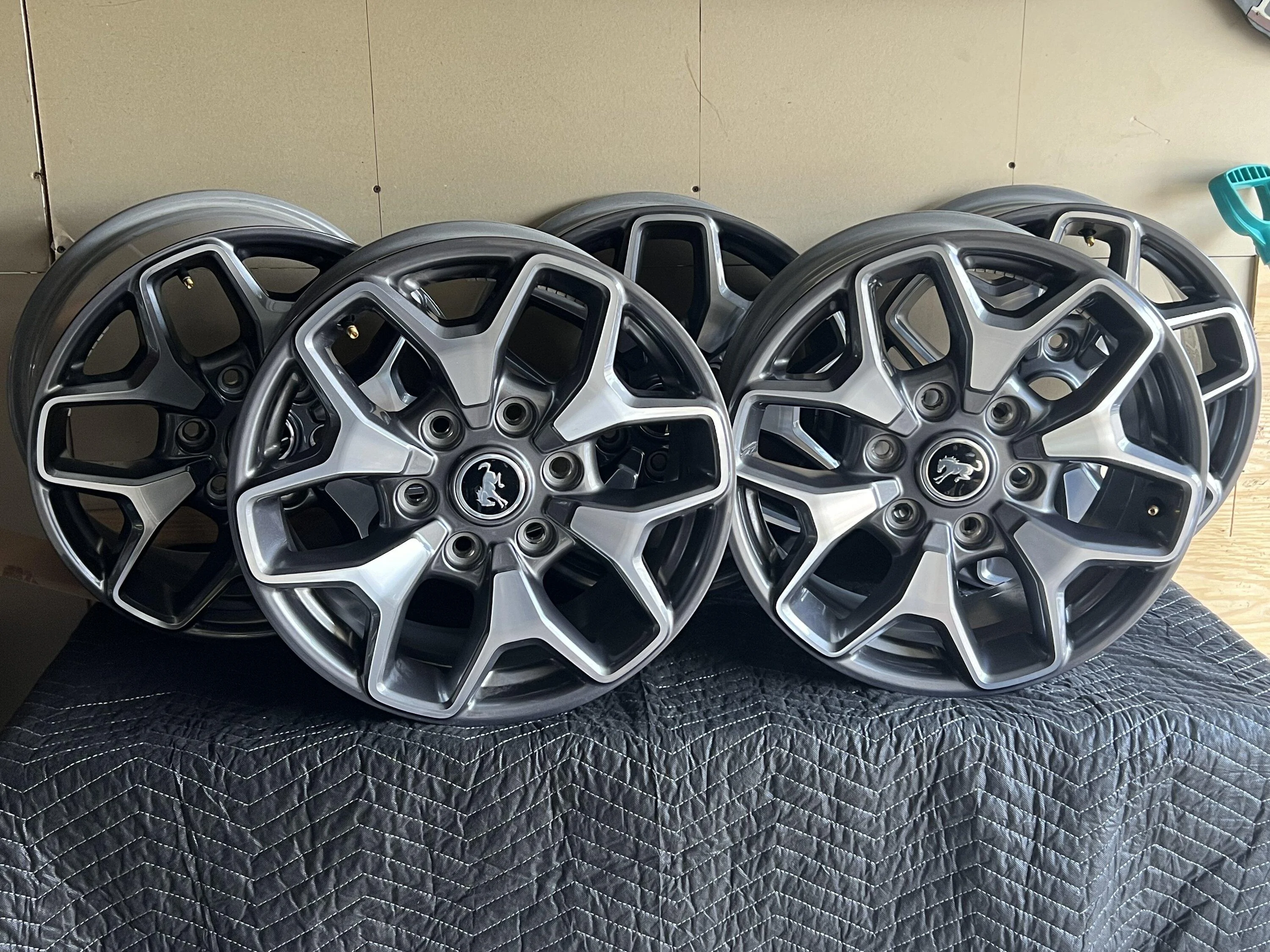 Ford Bronco WTB: Badlands OE wheels IMG_2495