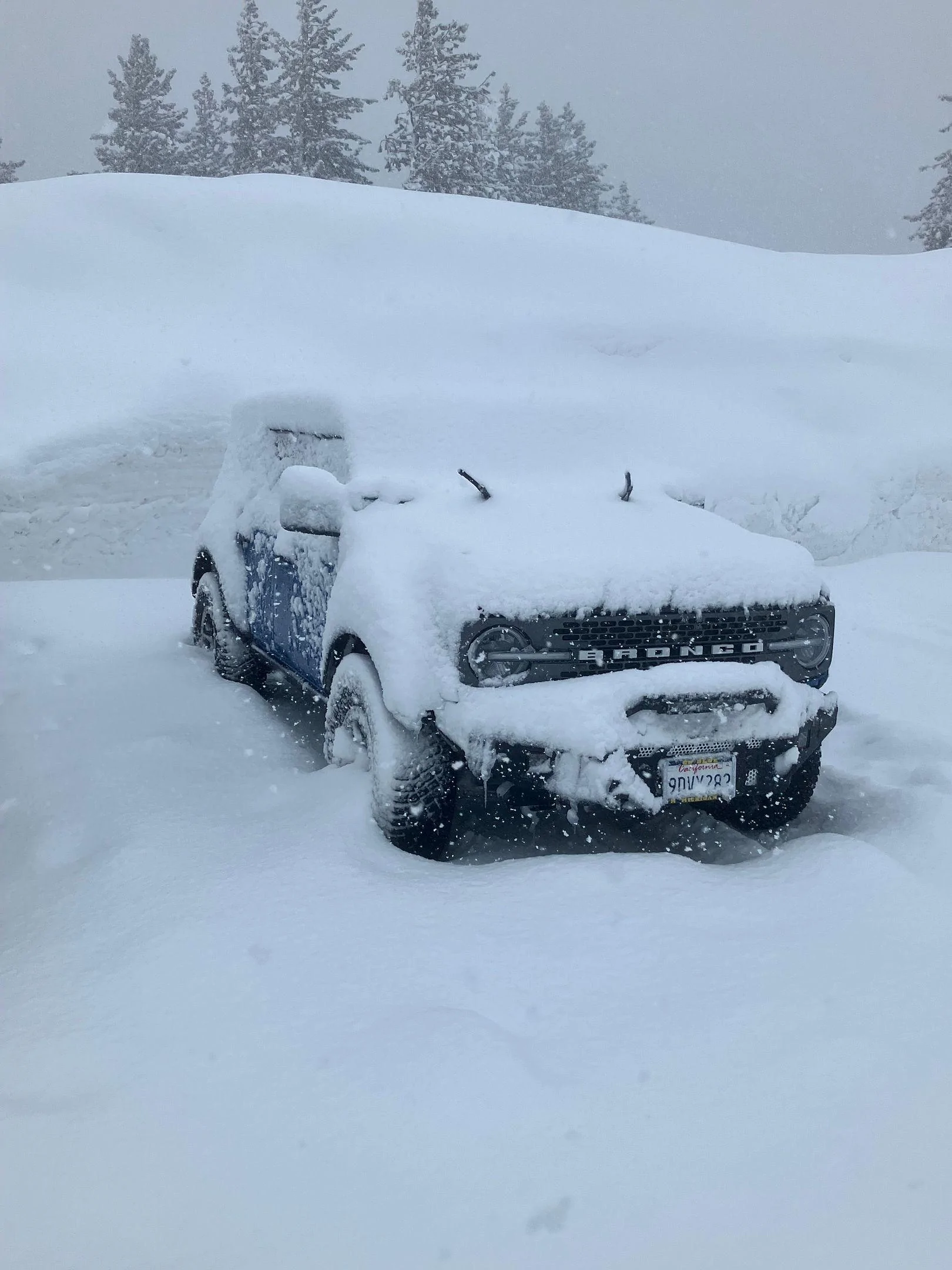 Ford Bronco Camping in a Blizzard (Video) celebrate-1705512871203