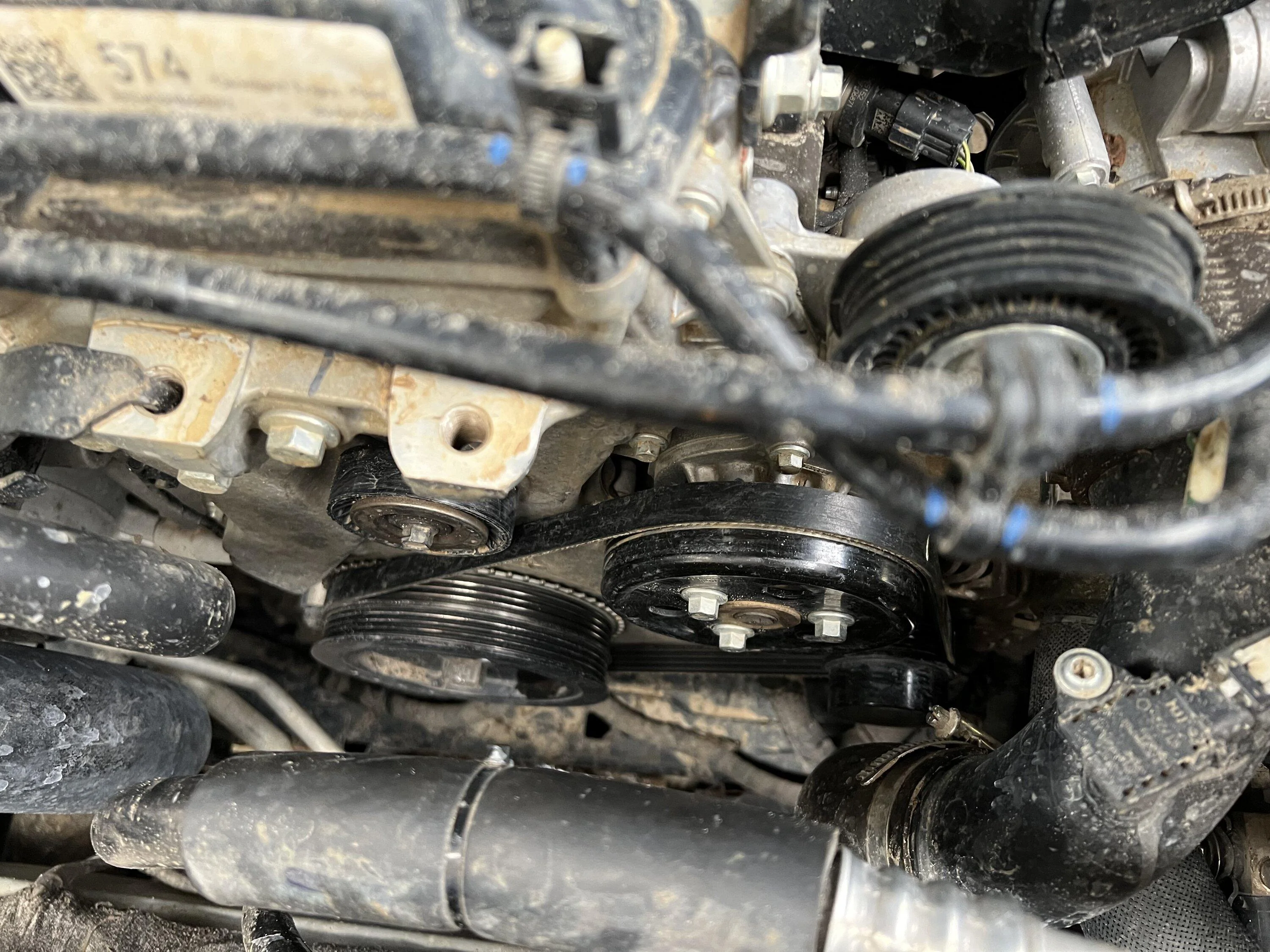 Ford Bronco 2.3 L Serpentine Belts IMG_2213