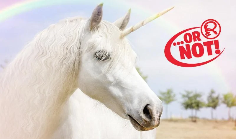 unicorn-thumb.jpg