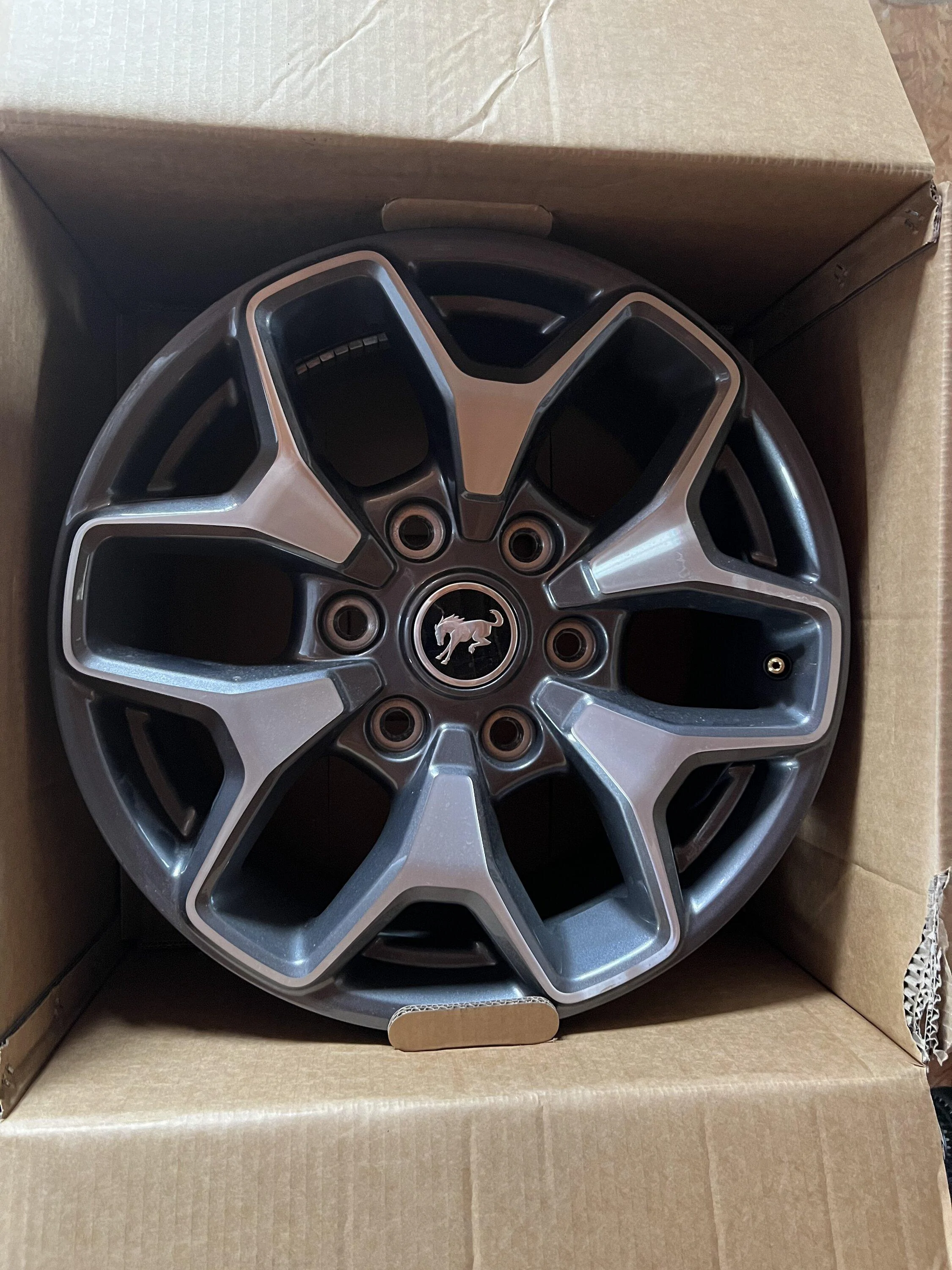 Ford Bronco WTB: Badlands OE wheels IMG_1539