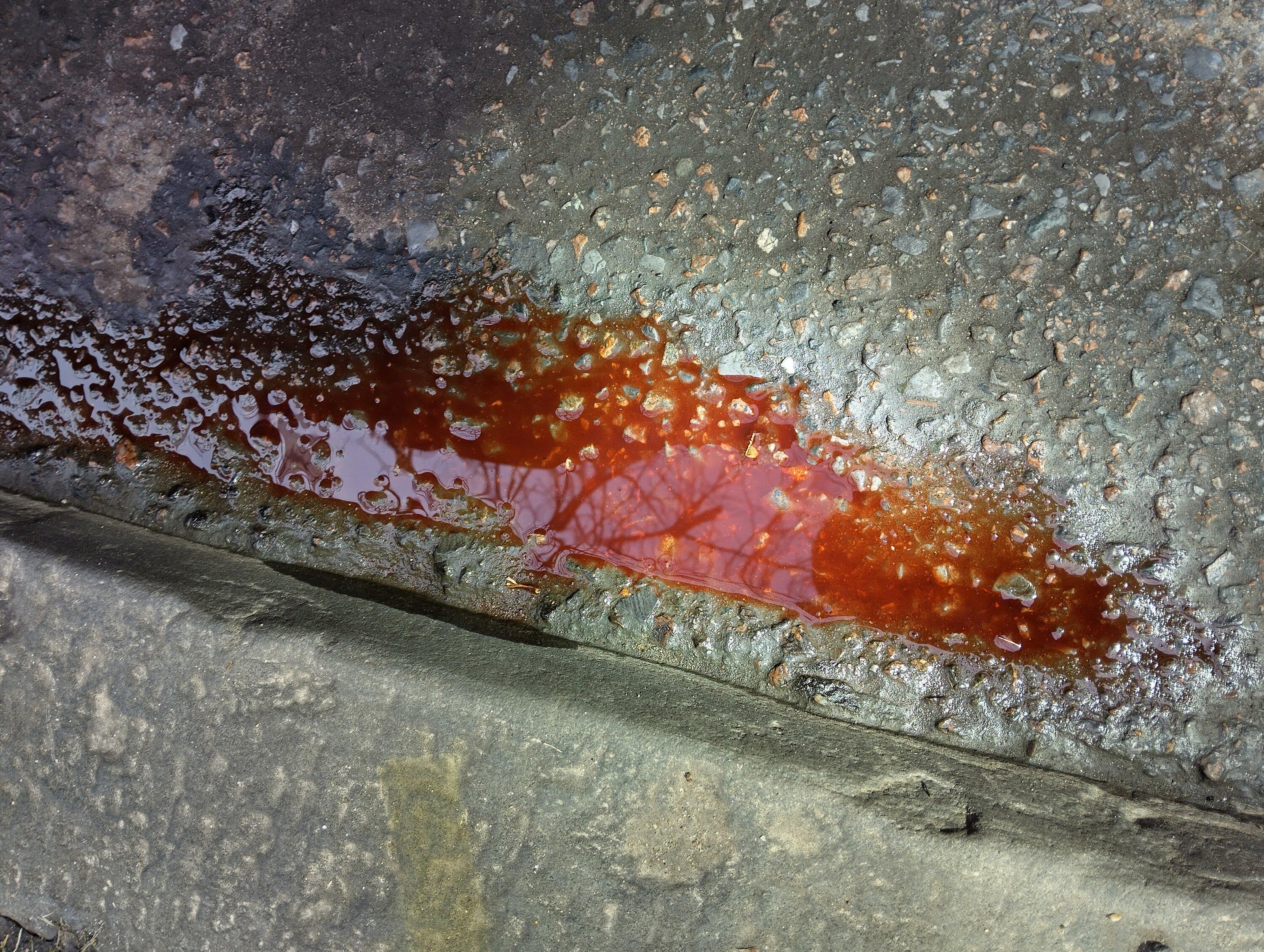 Ford Bronco Red fluid leak. Transmission fluid? IMG_20240127_133824_HDR