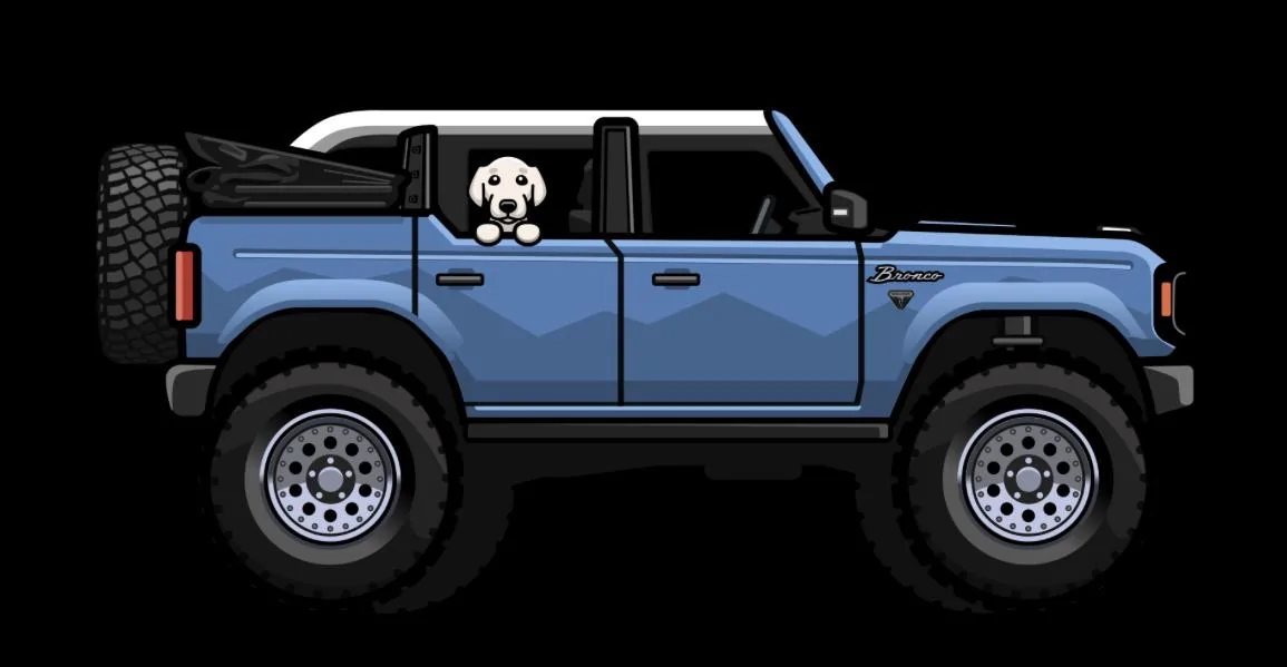 Ford Bronco Great Birthday Gift! IMG_5234