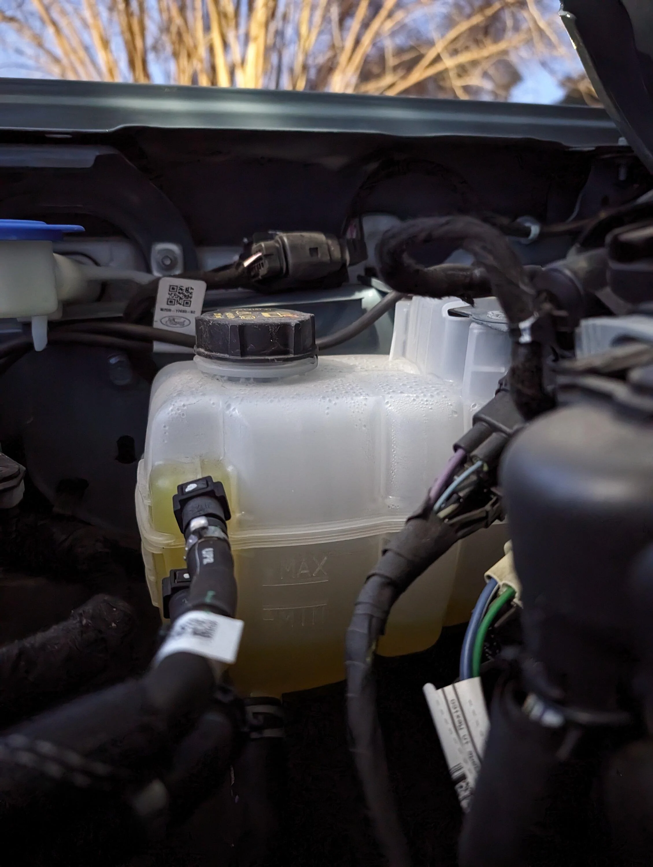 Ford Bronco Low coolant 1000010500