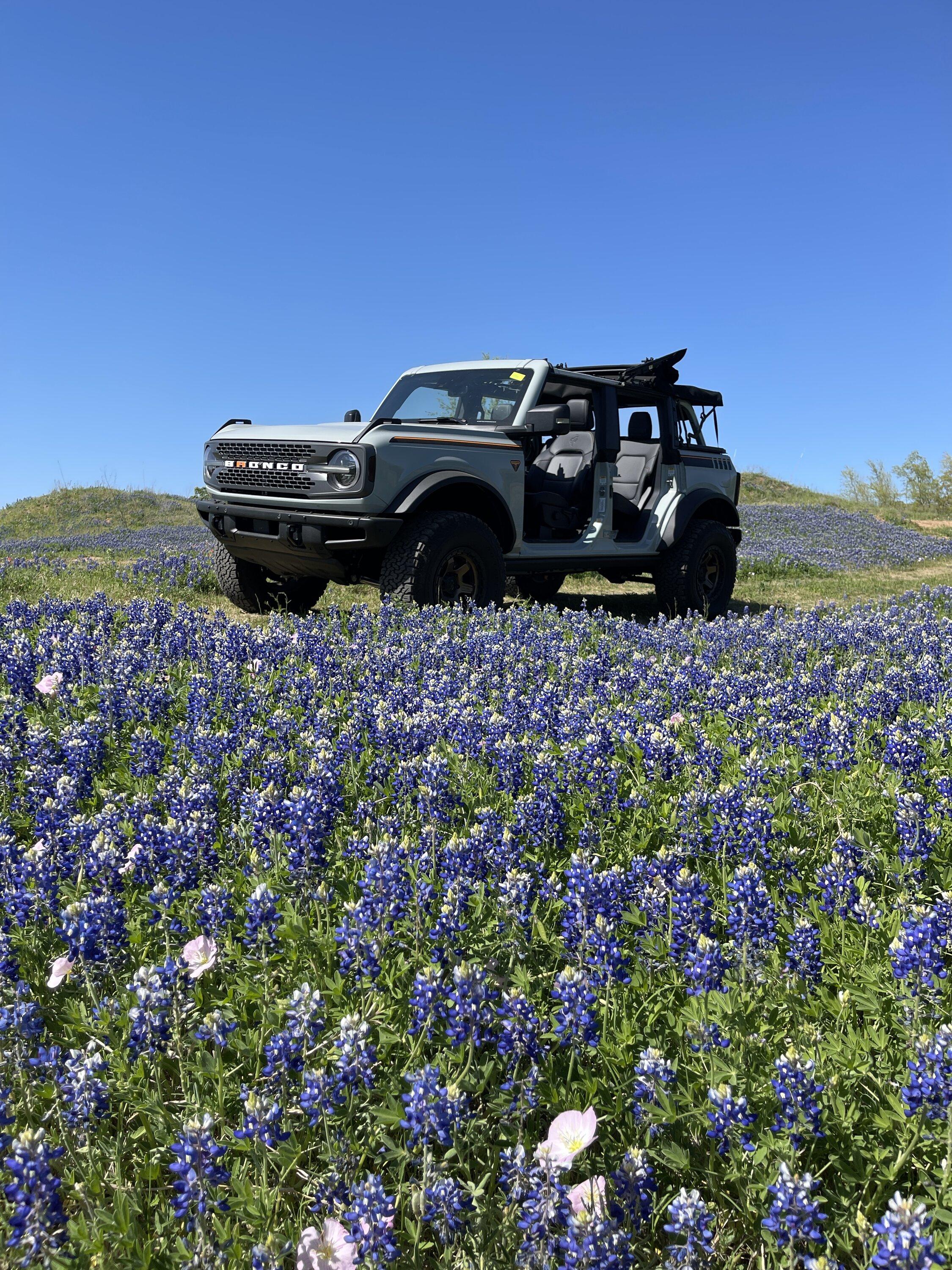 Ford Bronco Cover Photo Wednesday IMG_7848.JPG
