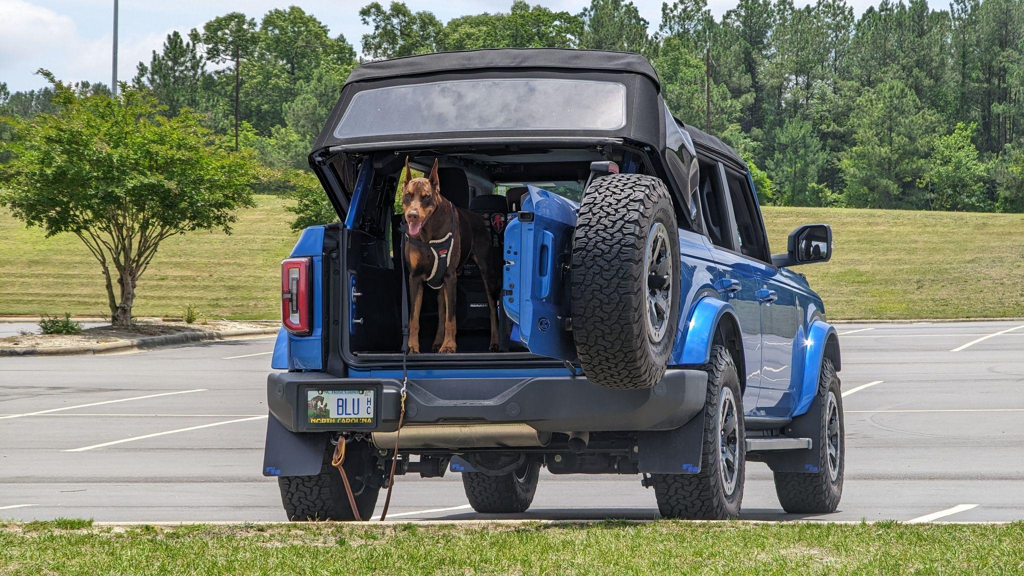 Ford Bronco Mudflaps RokBlokz XL pics request 413115192_279926848402734_8099808881061149421_n