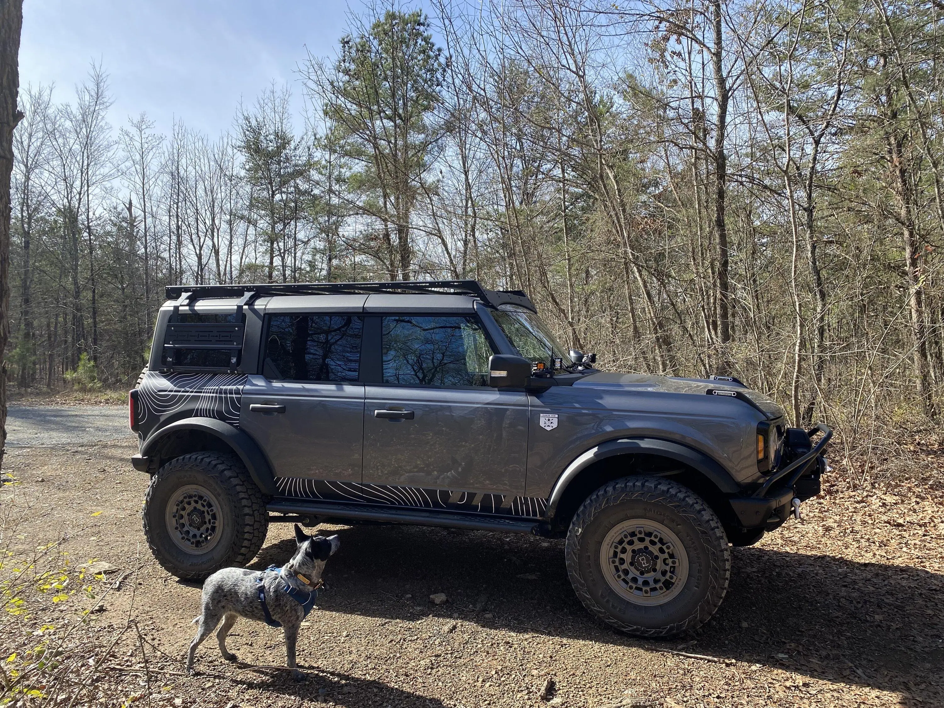 Ford Bronco HOSS 3.0 Lift options? IMG_3627